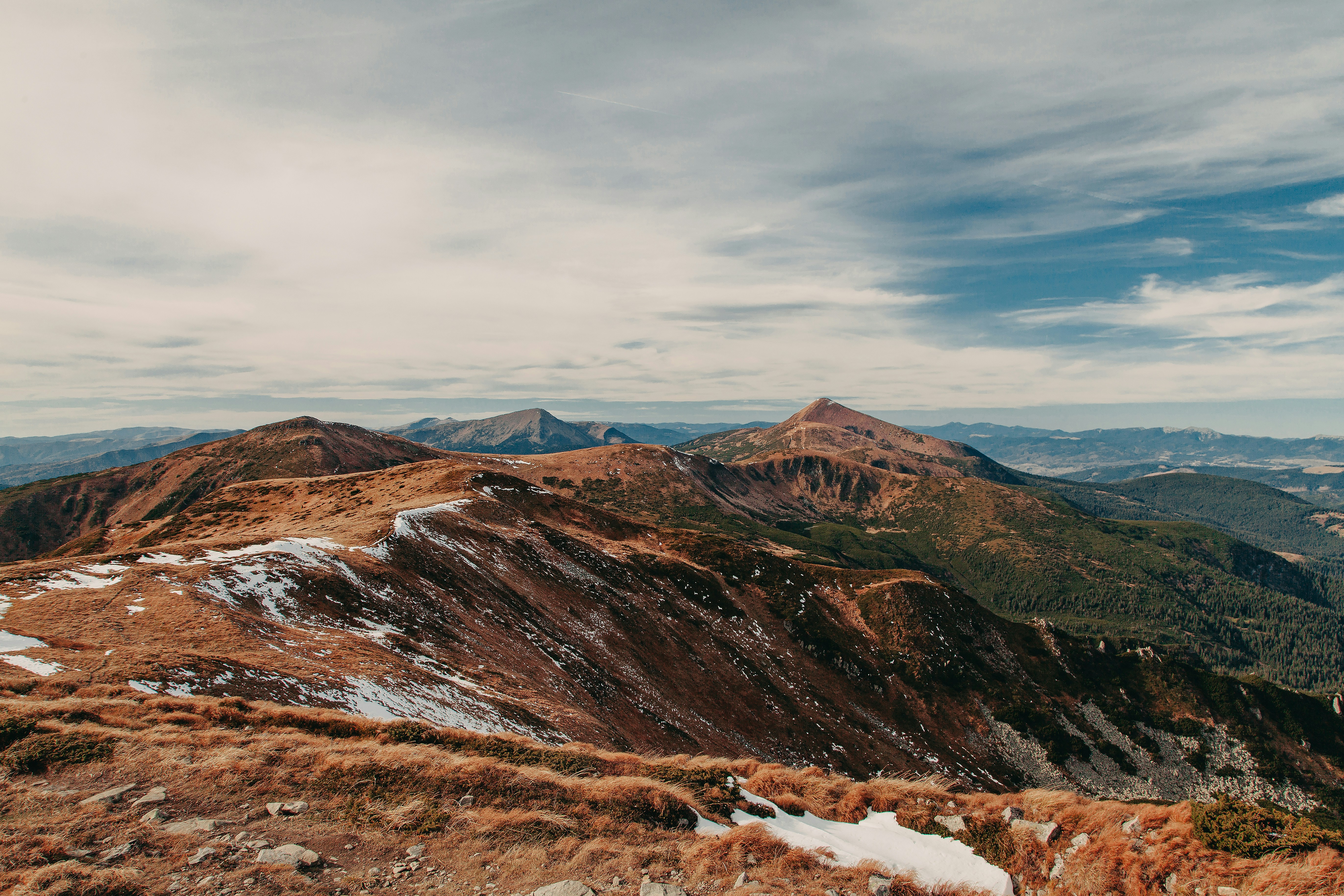 Photo by deni_eliash