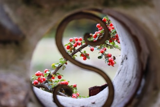 red and green floral wreath