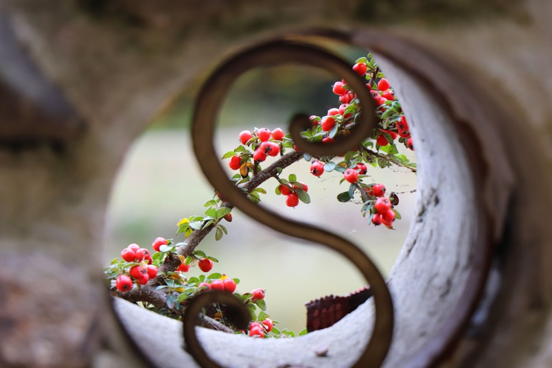 red and green floral wreath