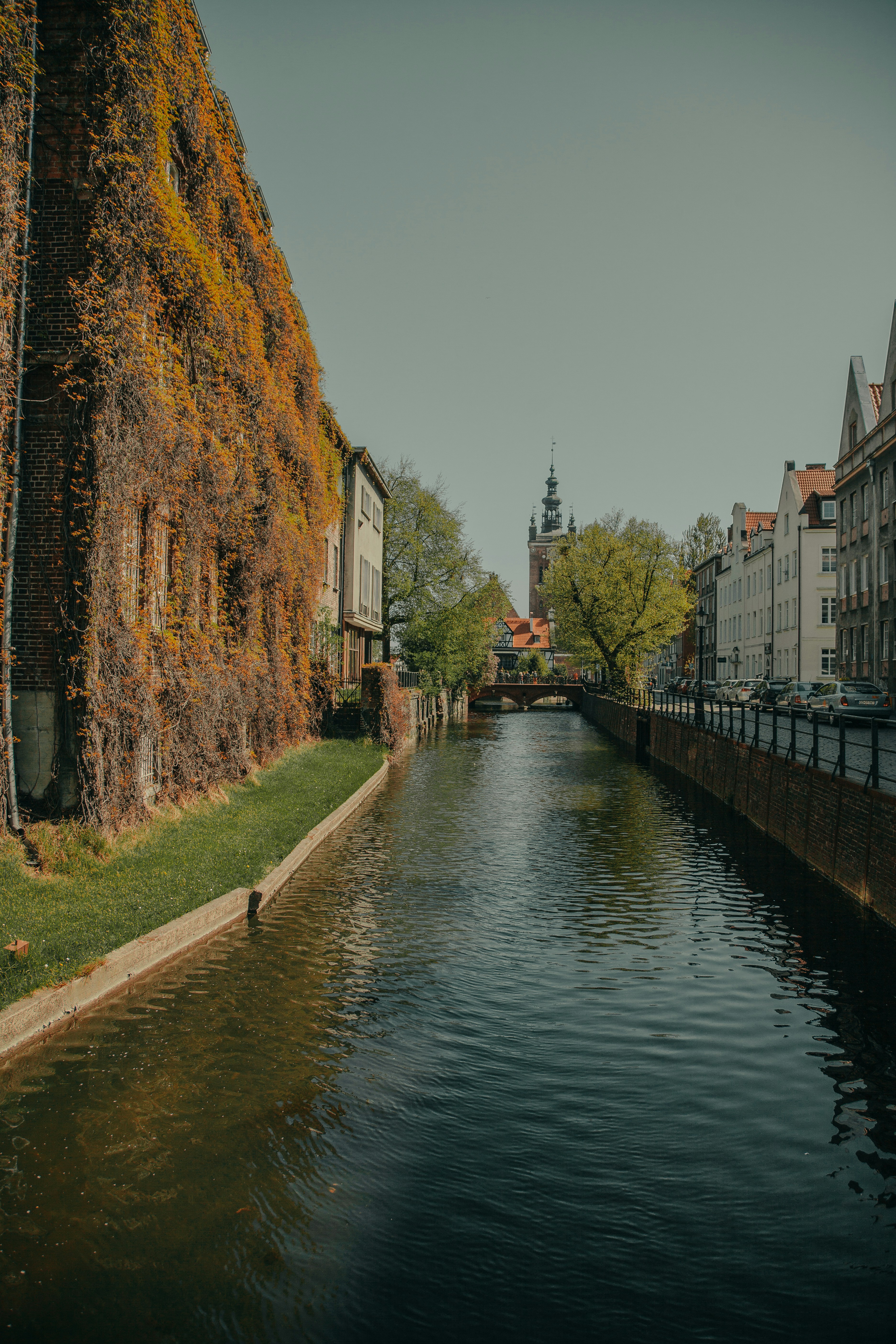 Photo by deni_eliash