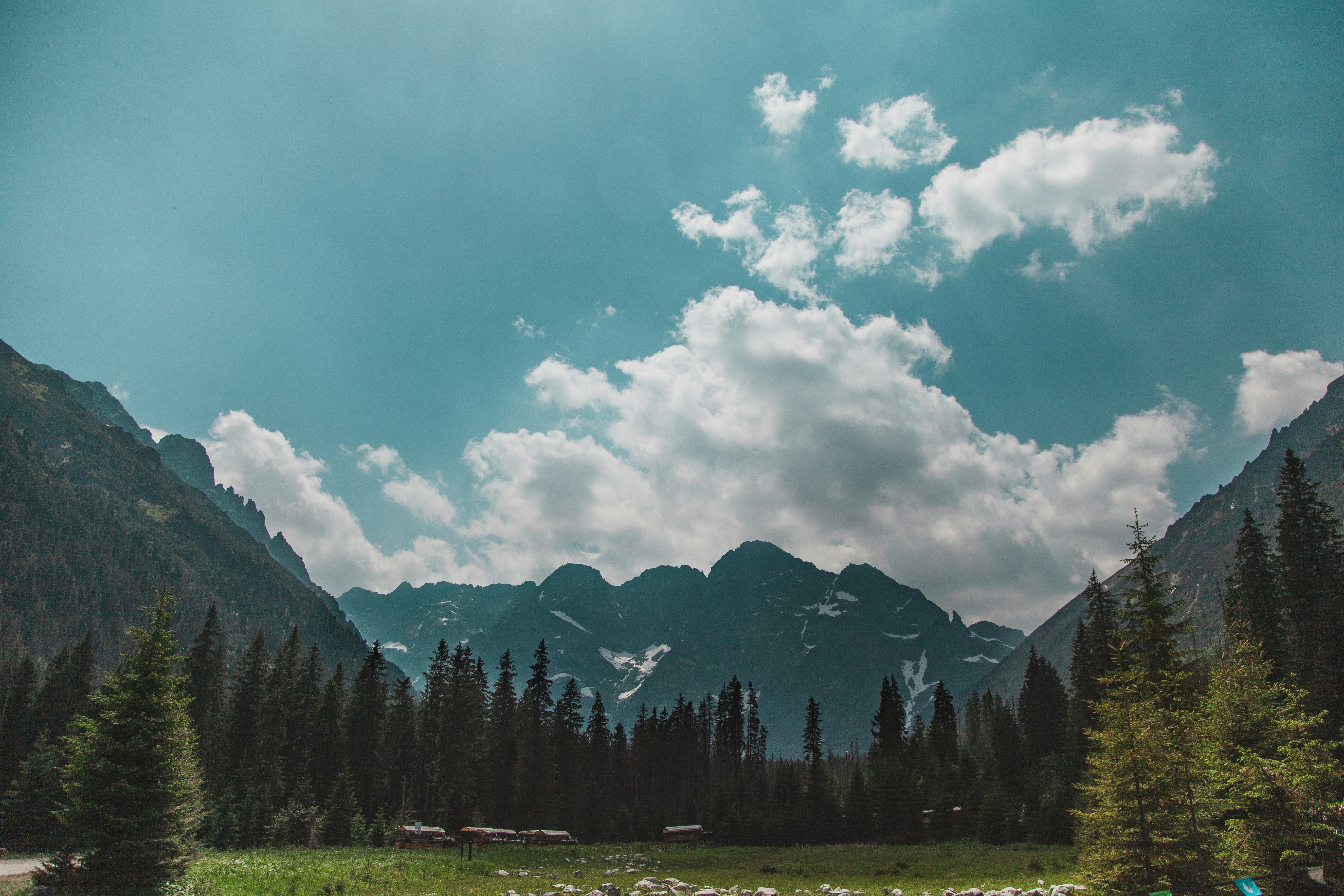 Photo by deni_eliash