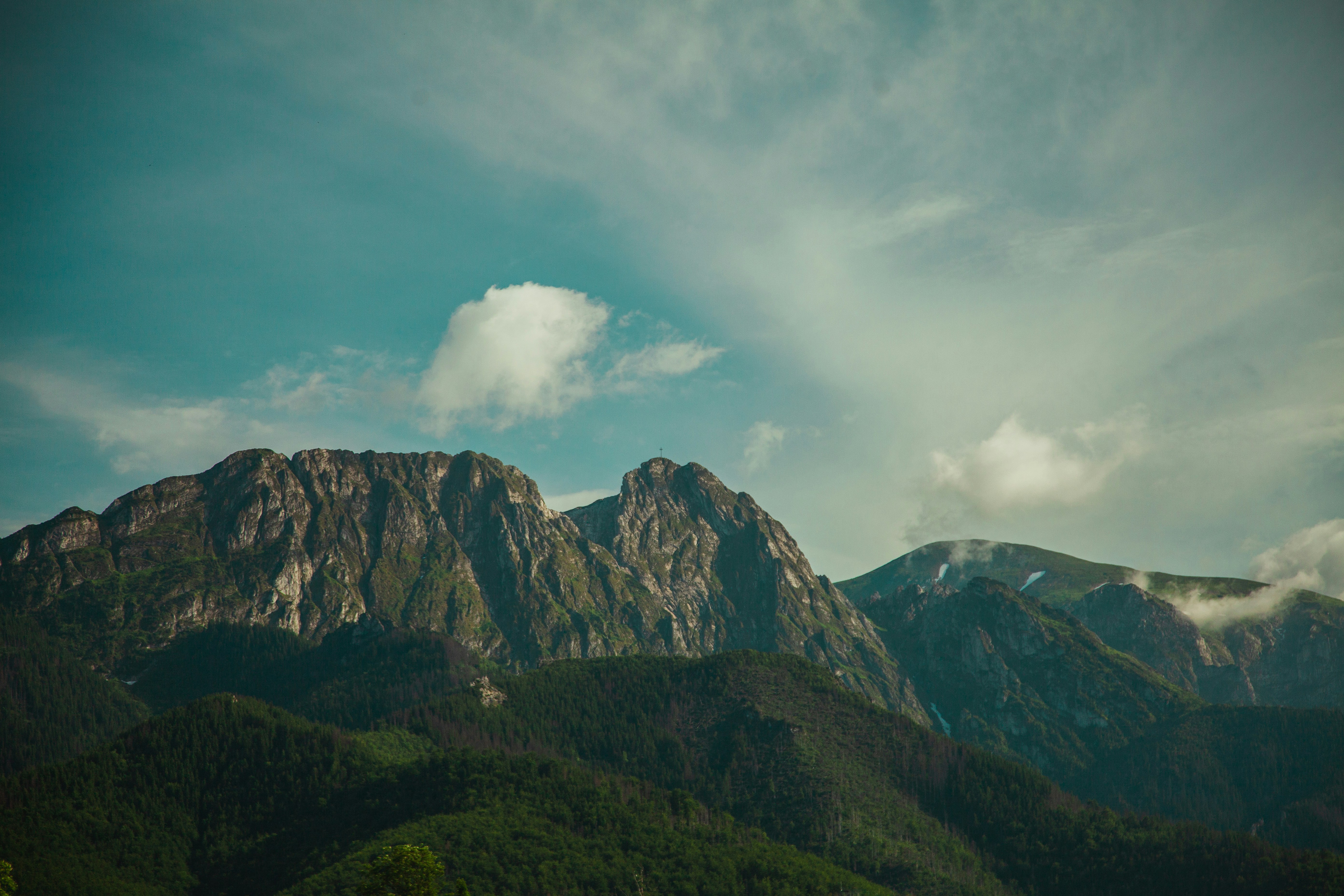 Photo by deni_eliash