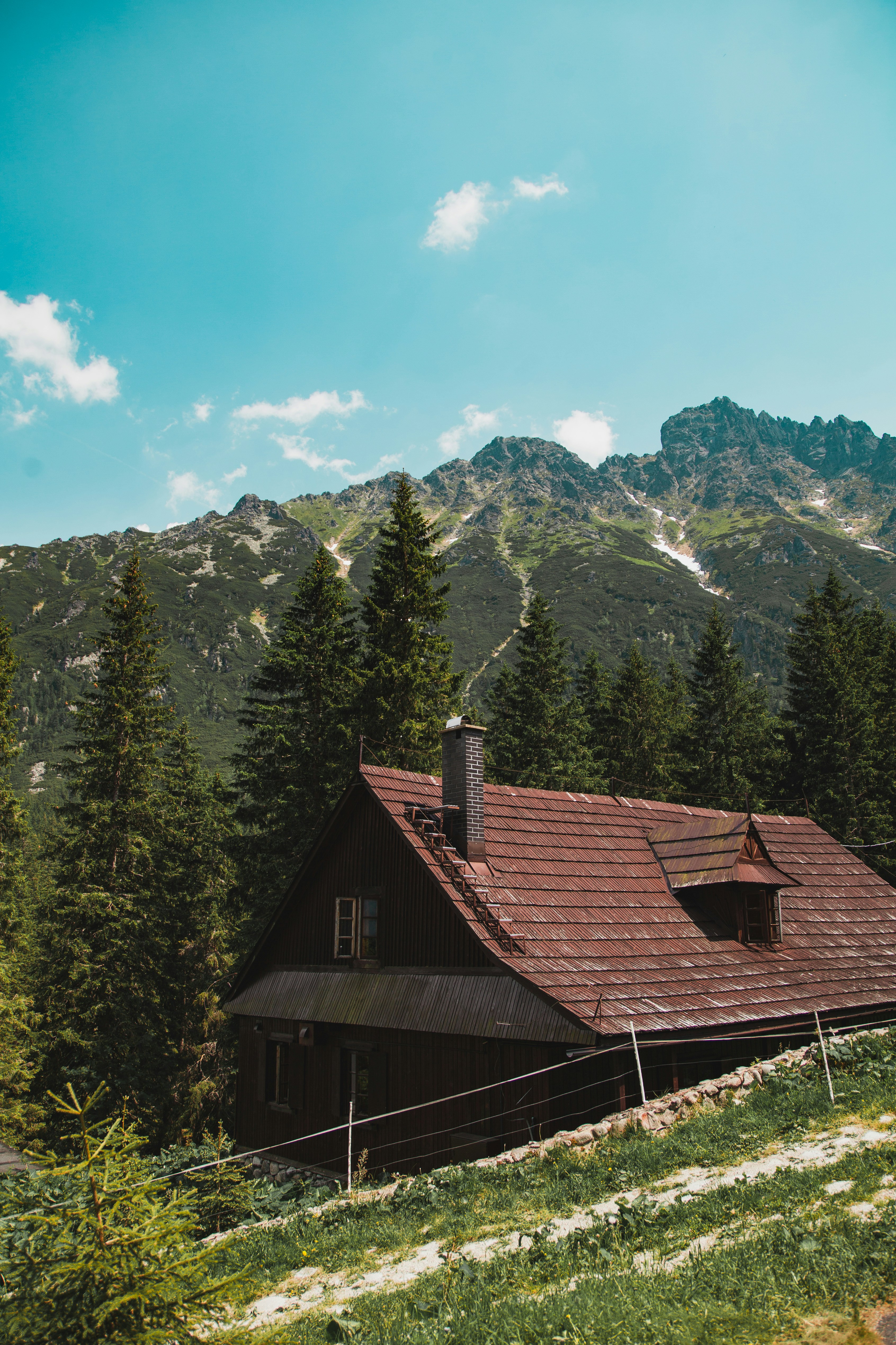 Photo by deni_eliash