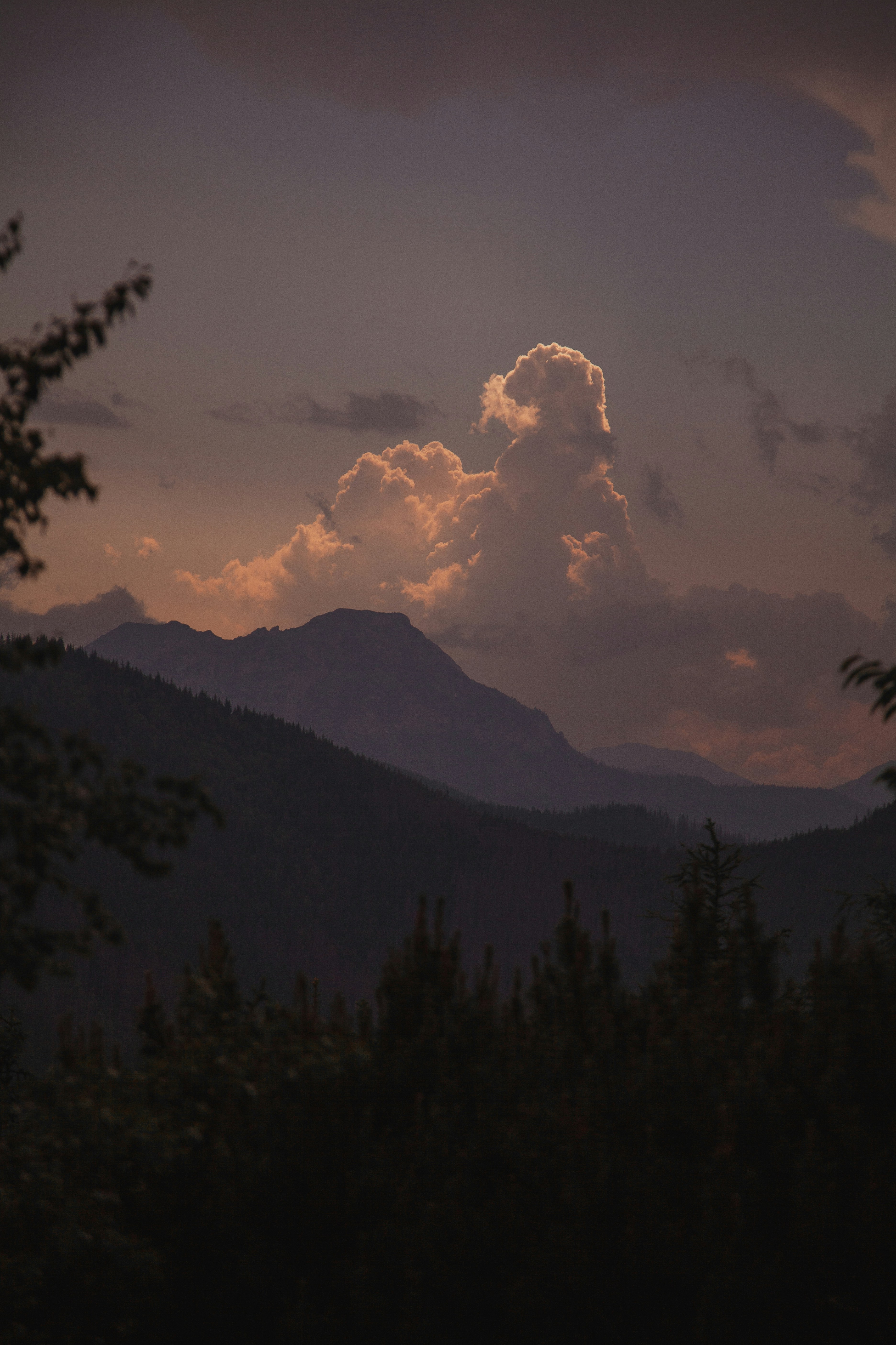 Photo by deni_eliash