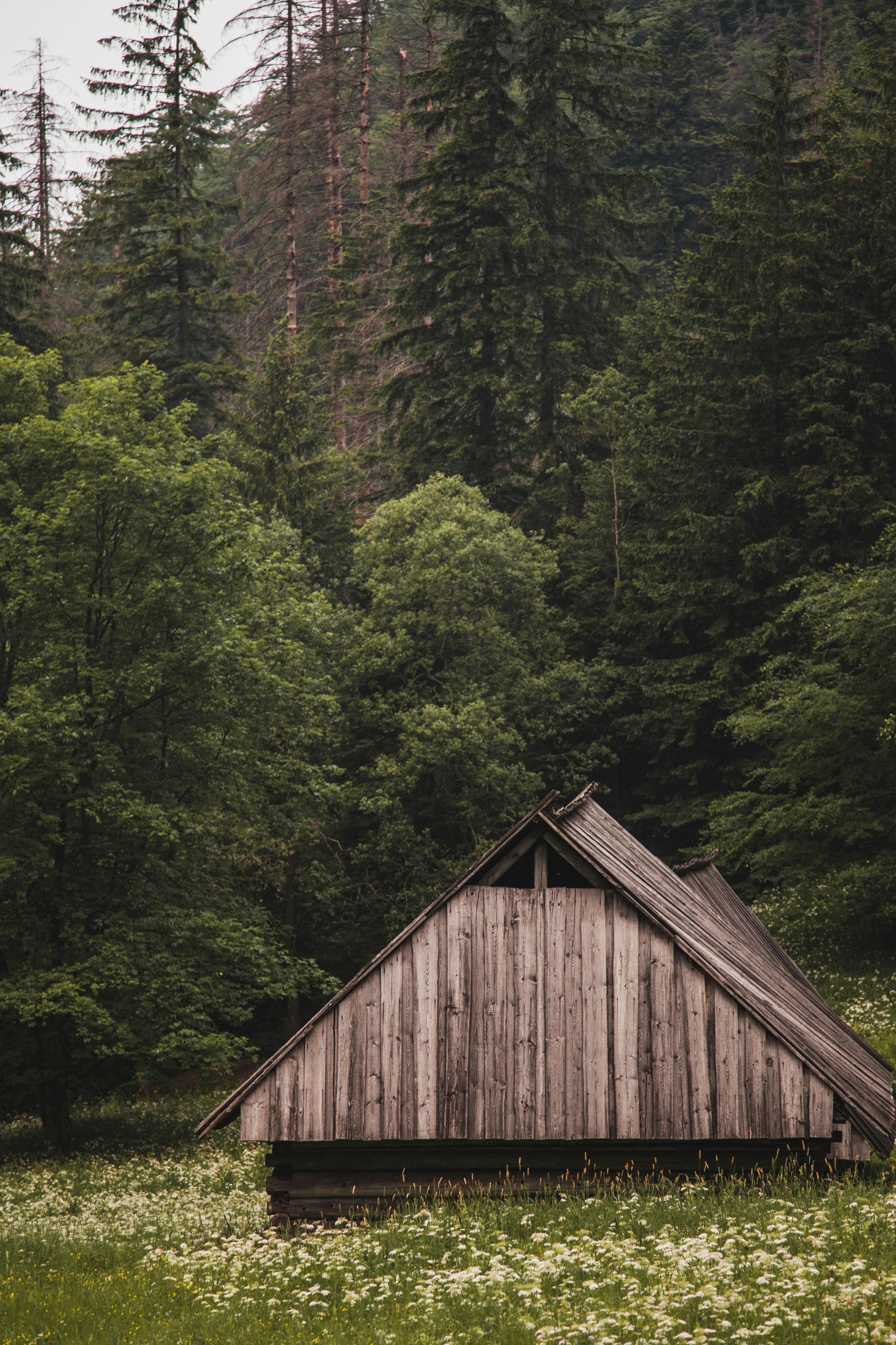 Photo by deni_eliash