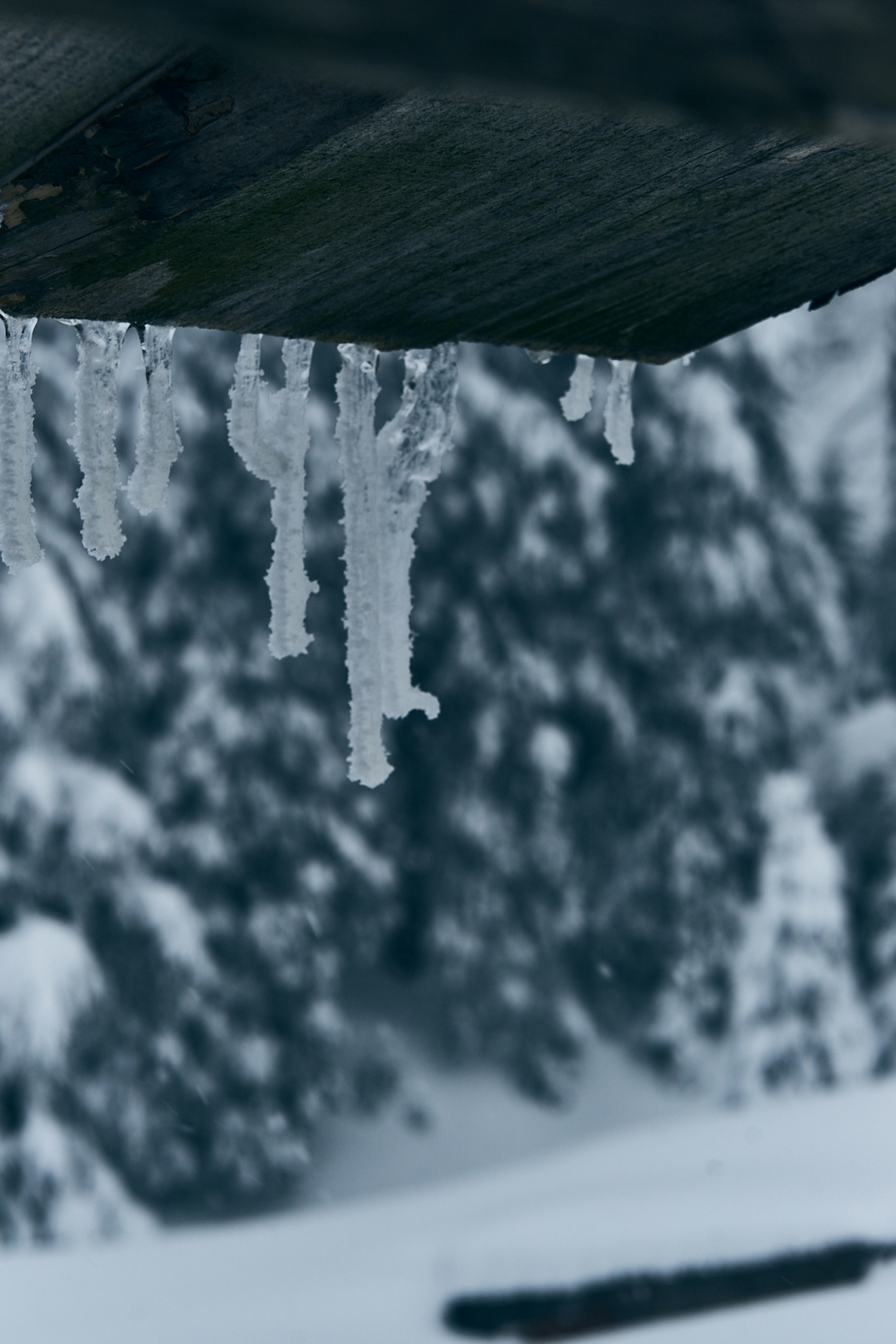 Photo by deni_eliash