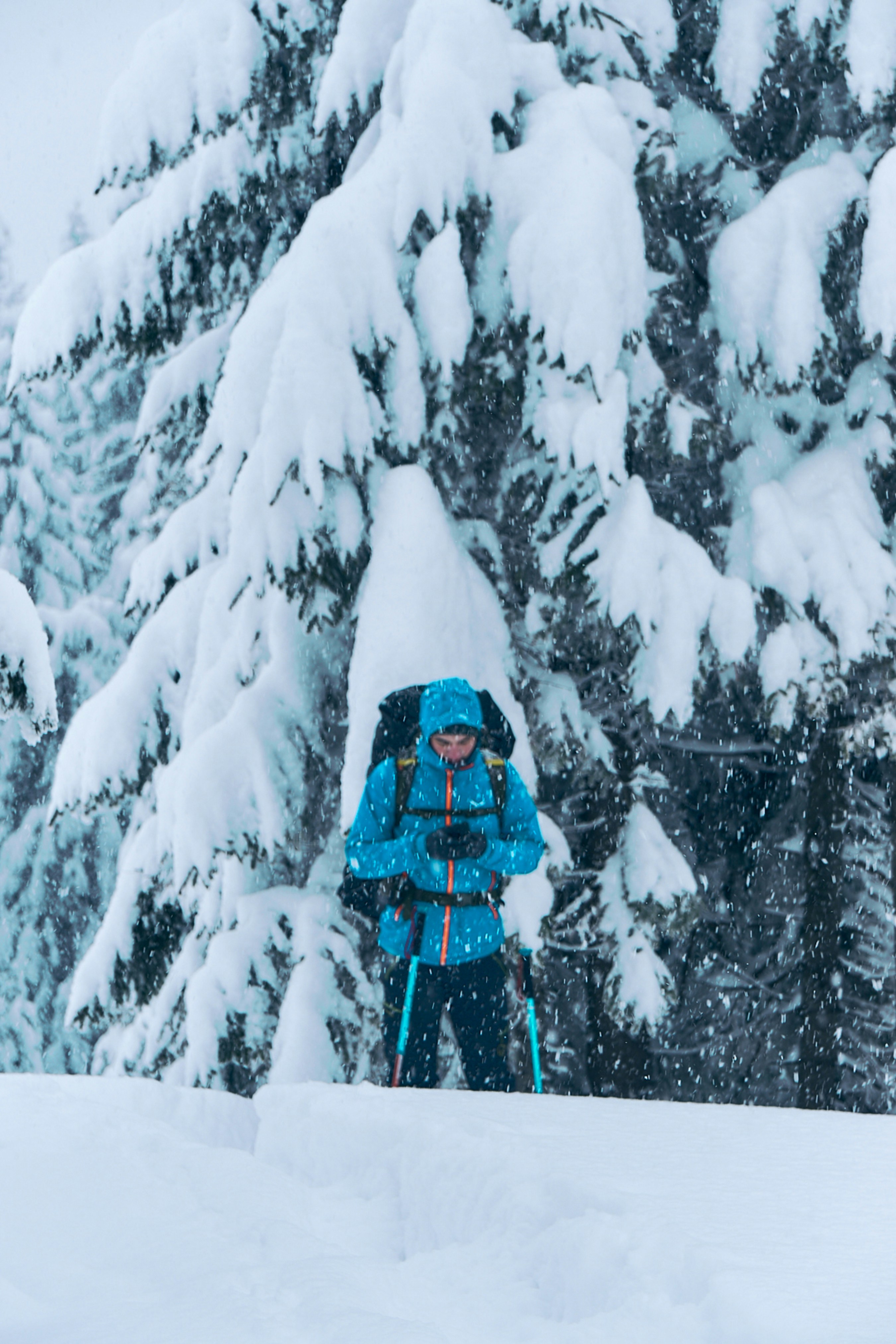 Photo by deni_eliash