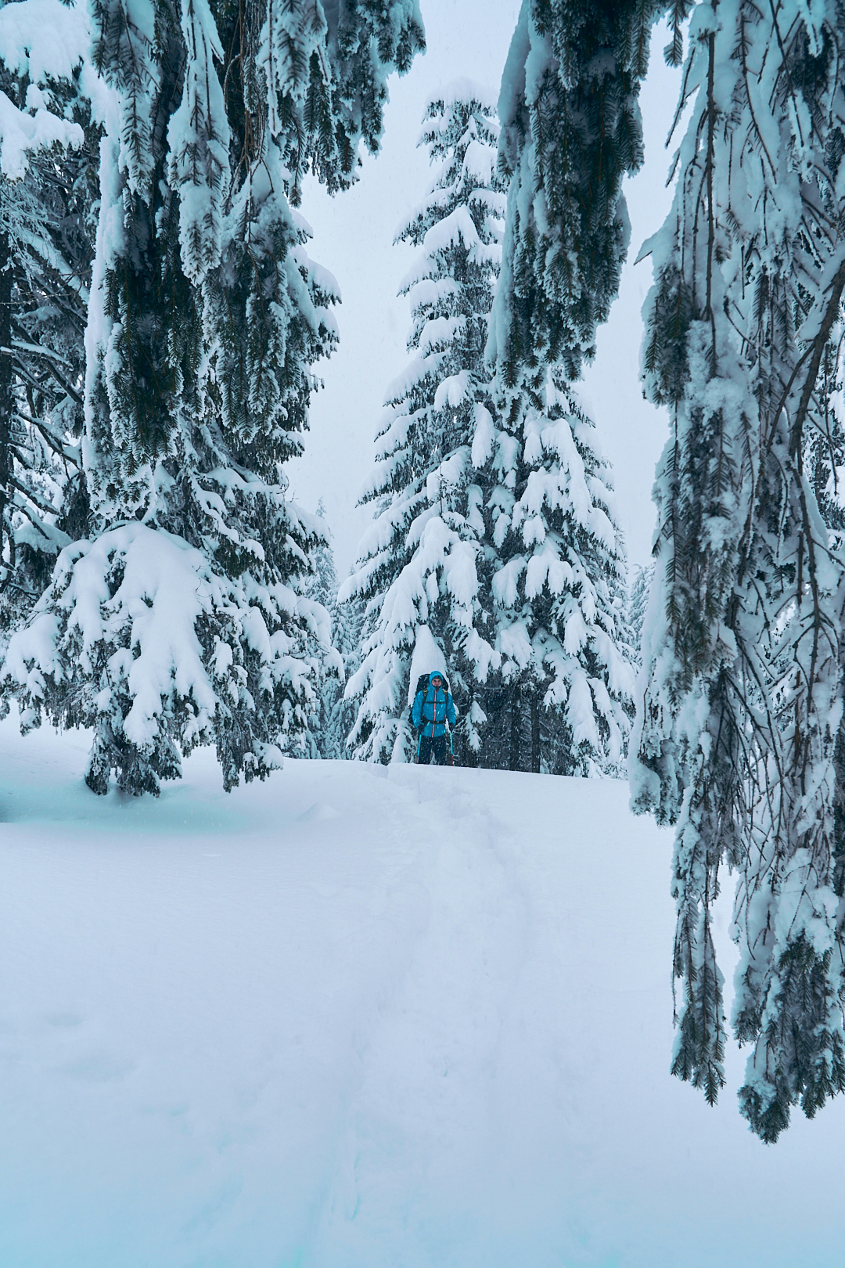 Photo by deni_eliash