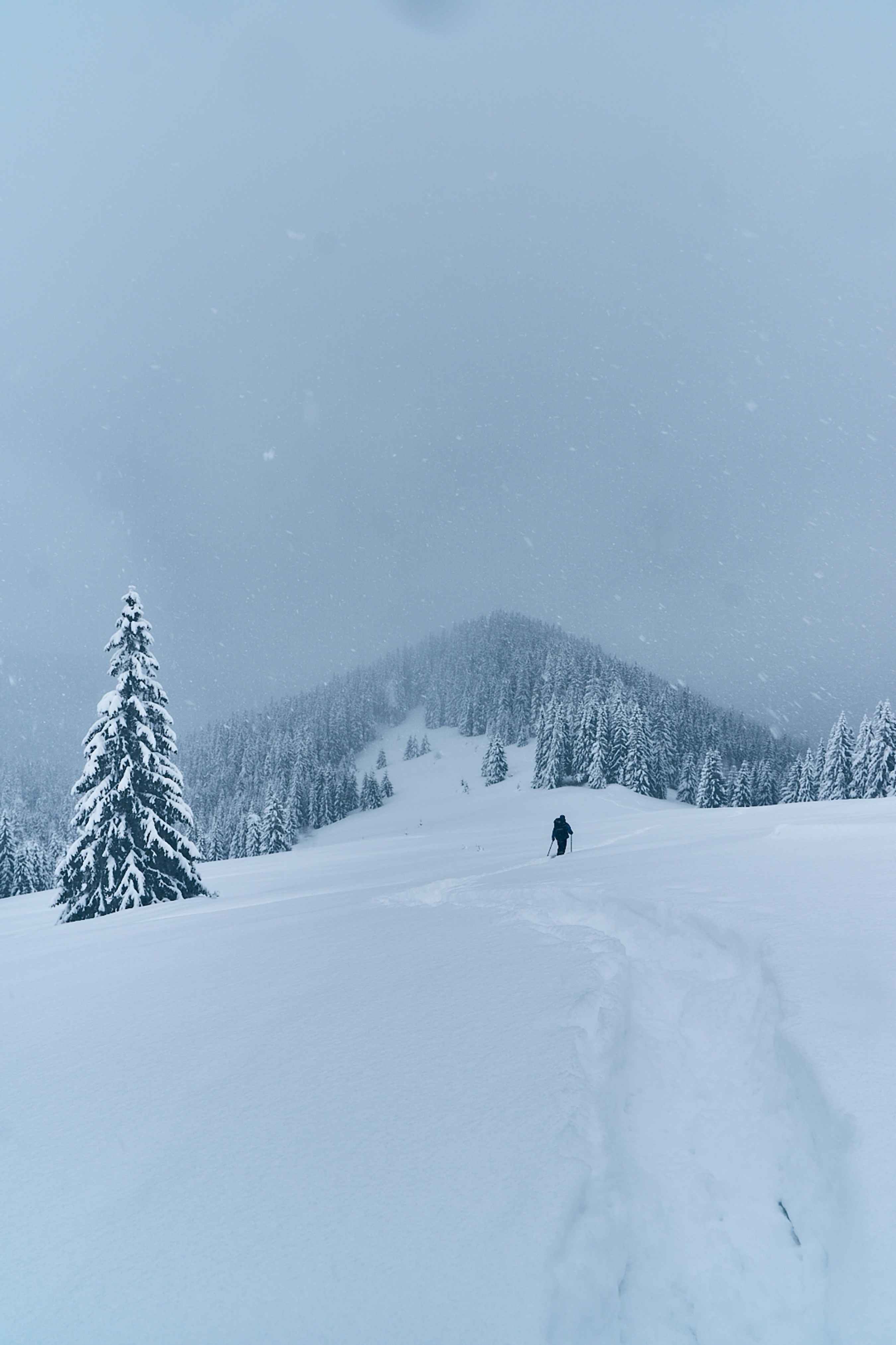 Photo by deni_eliash