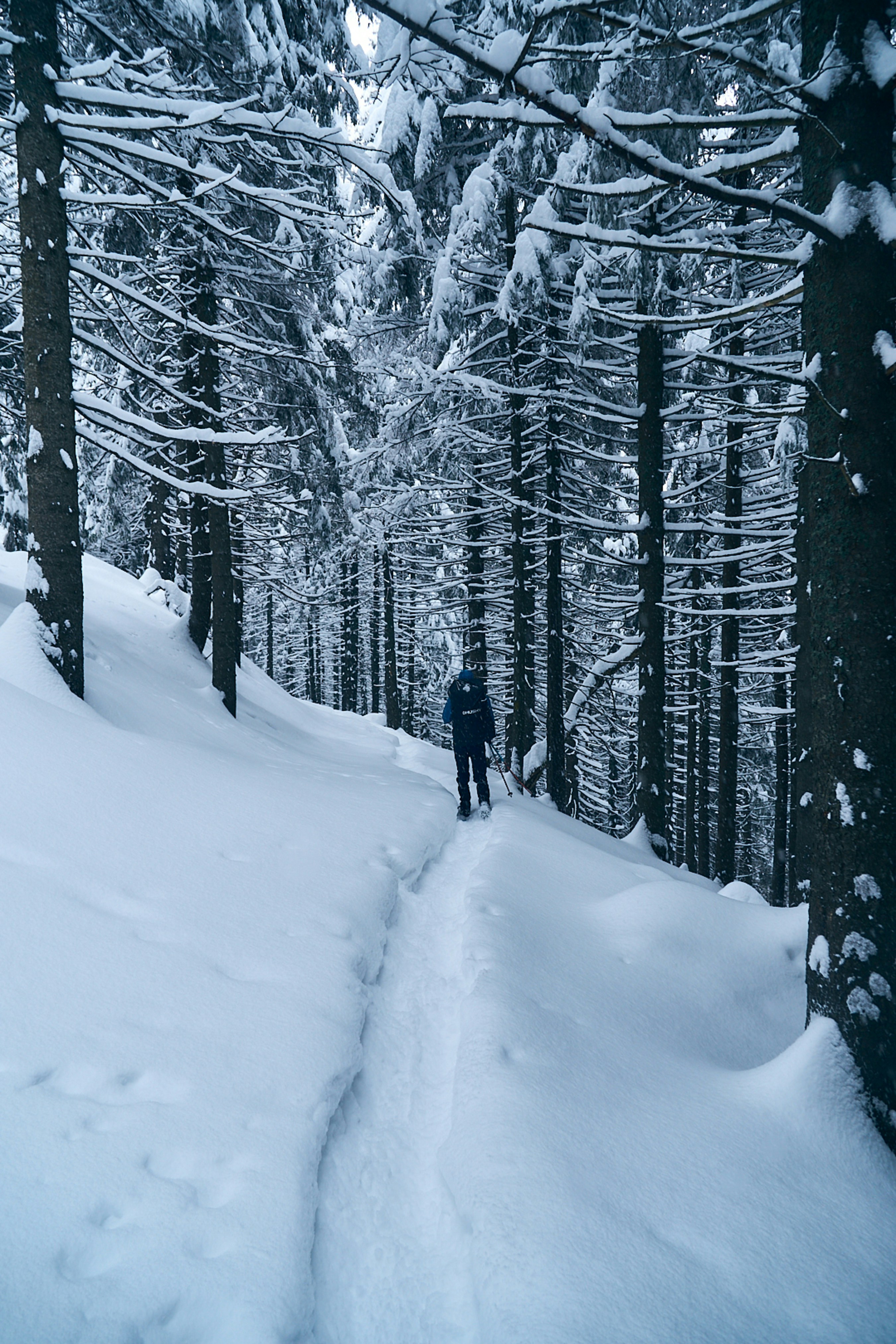 Photo by deni_eliash