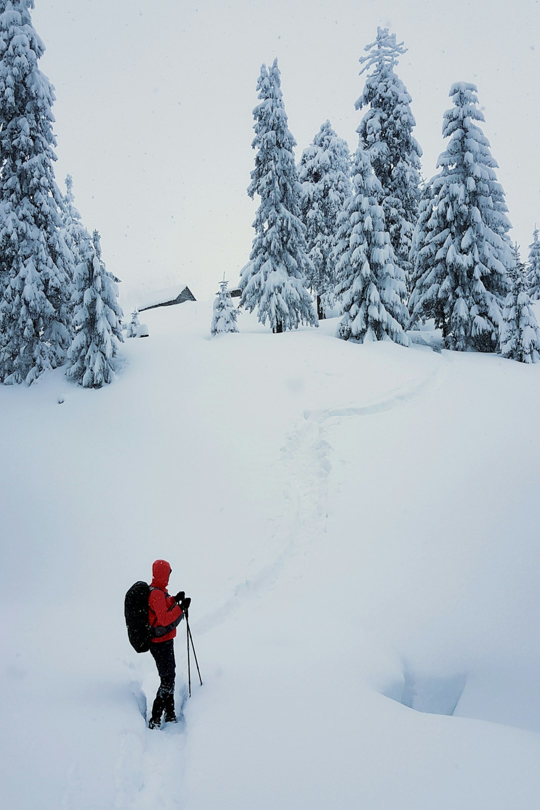 person in red jacket and black pants walking on snow covered ground during daytime