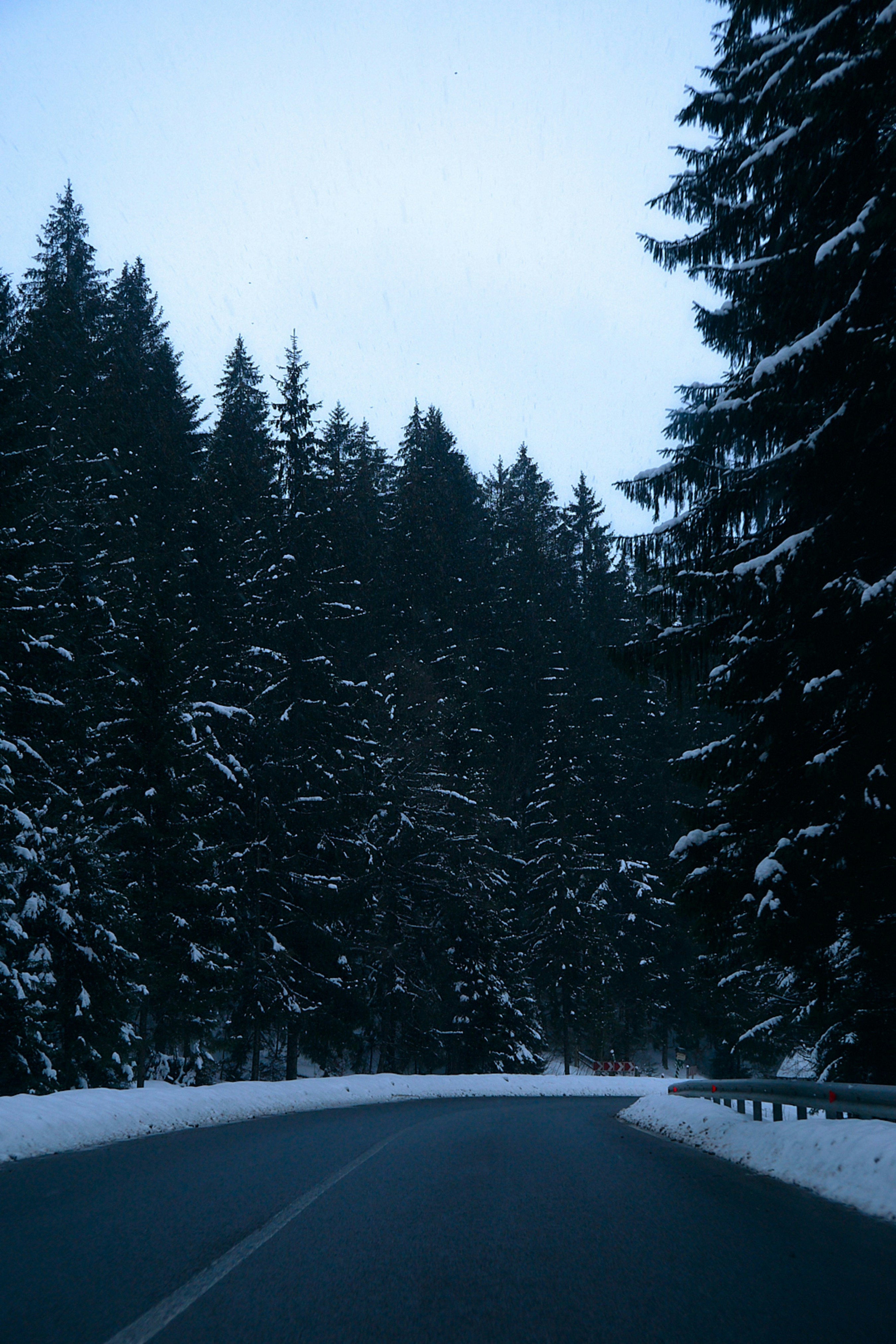 Photo by deni_eliash