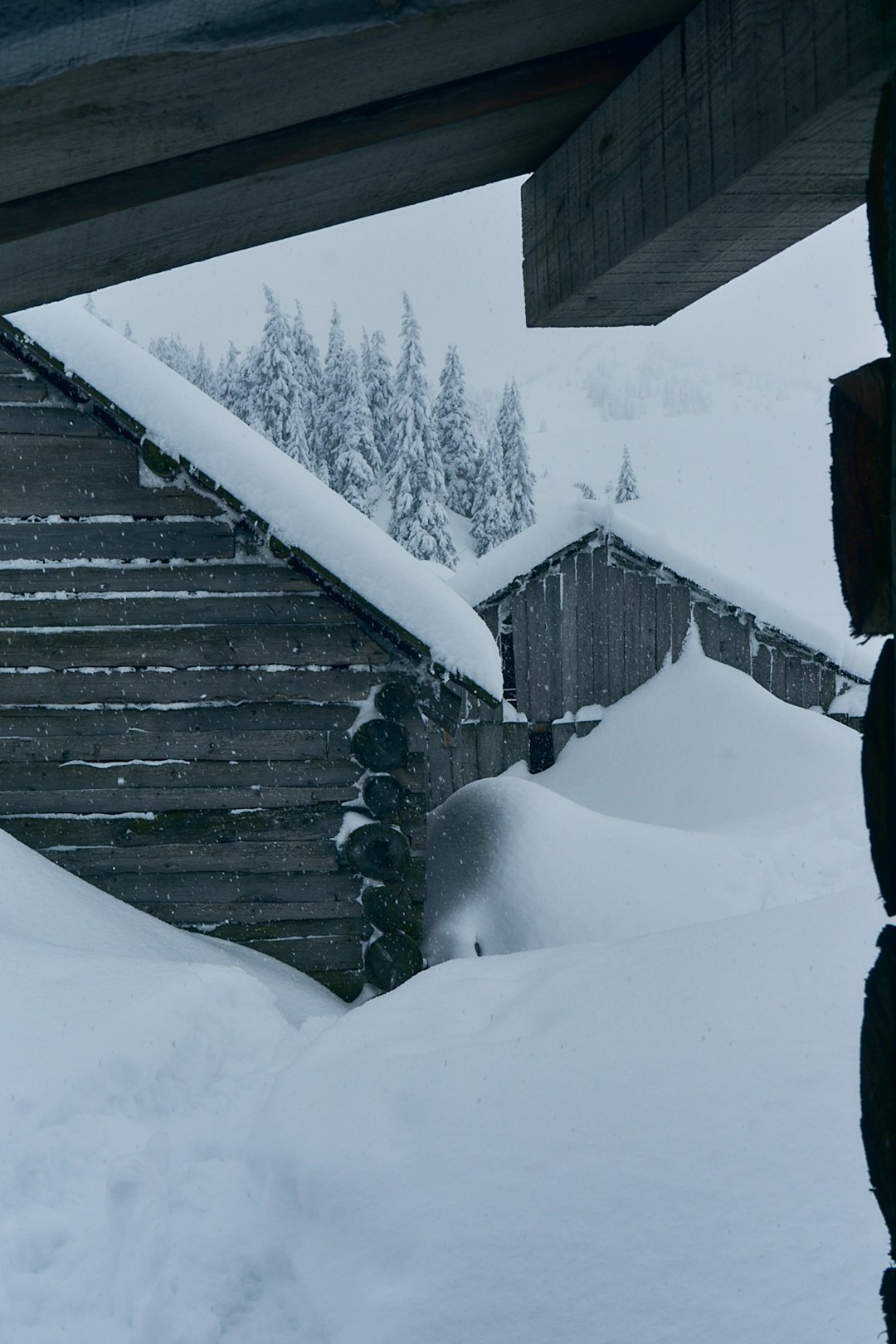 brown wooden house covered with snow