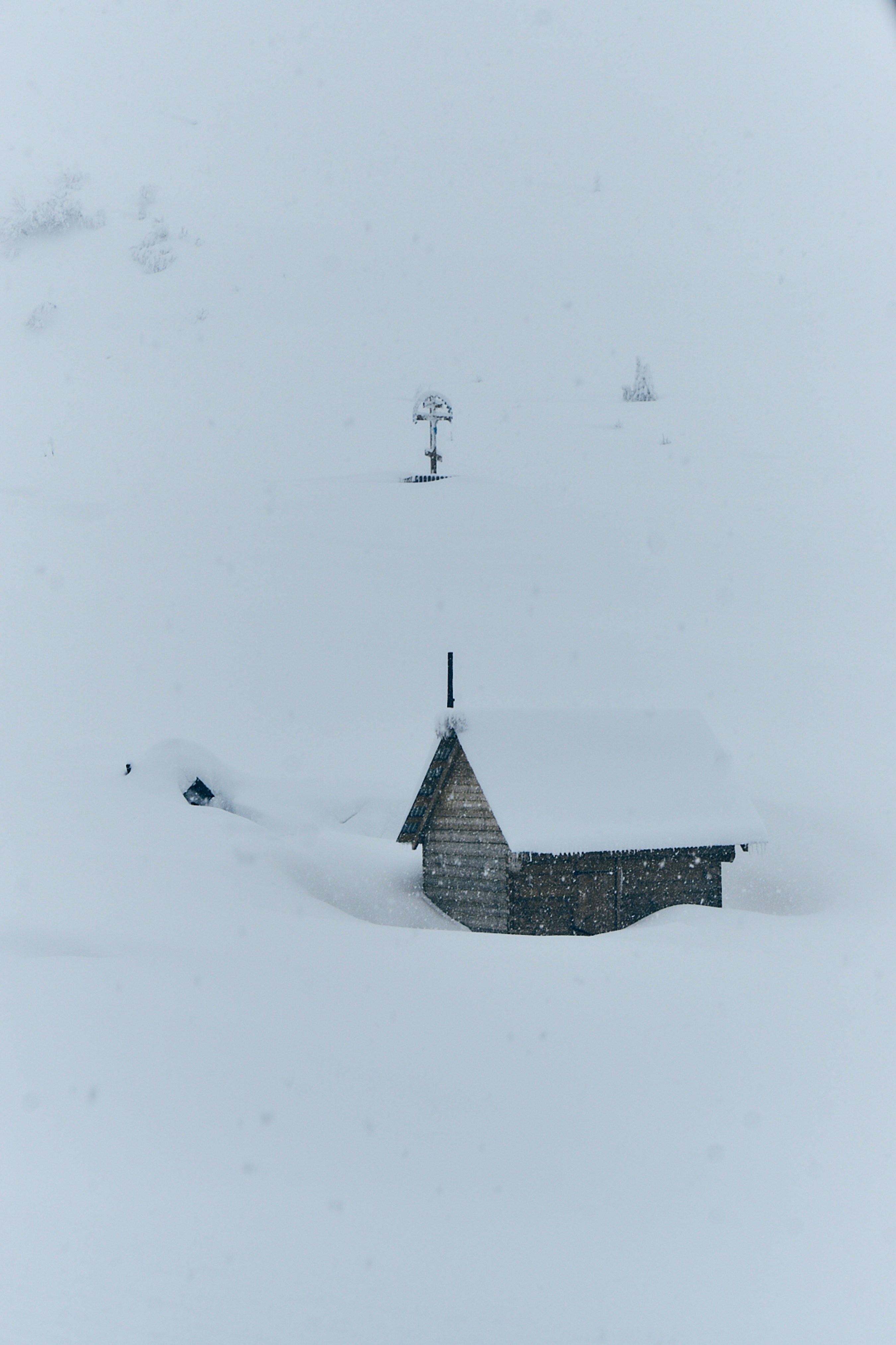 Taken In On The Lonely Cold Road