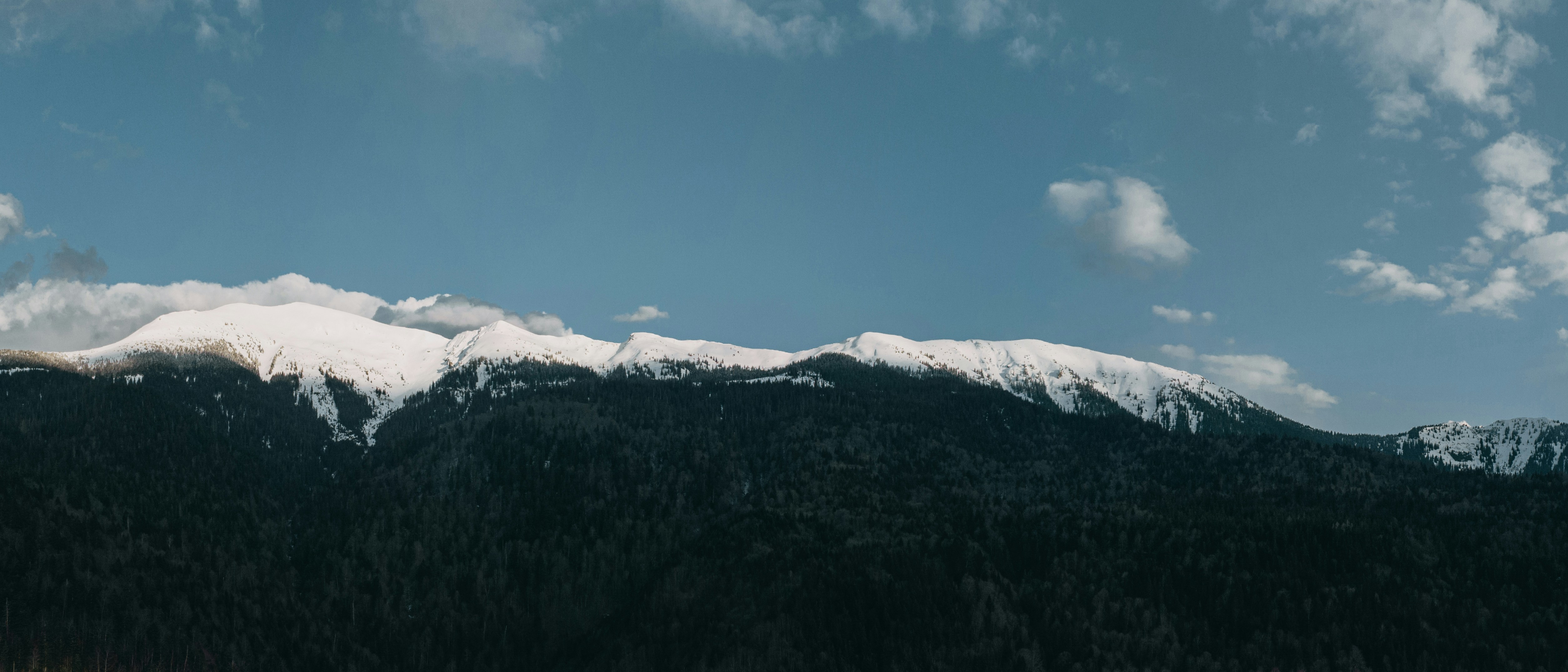 Photo by deni_eliash