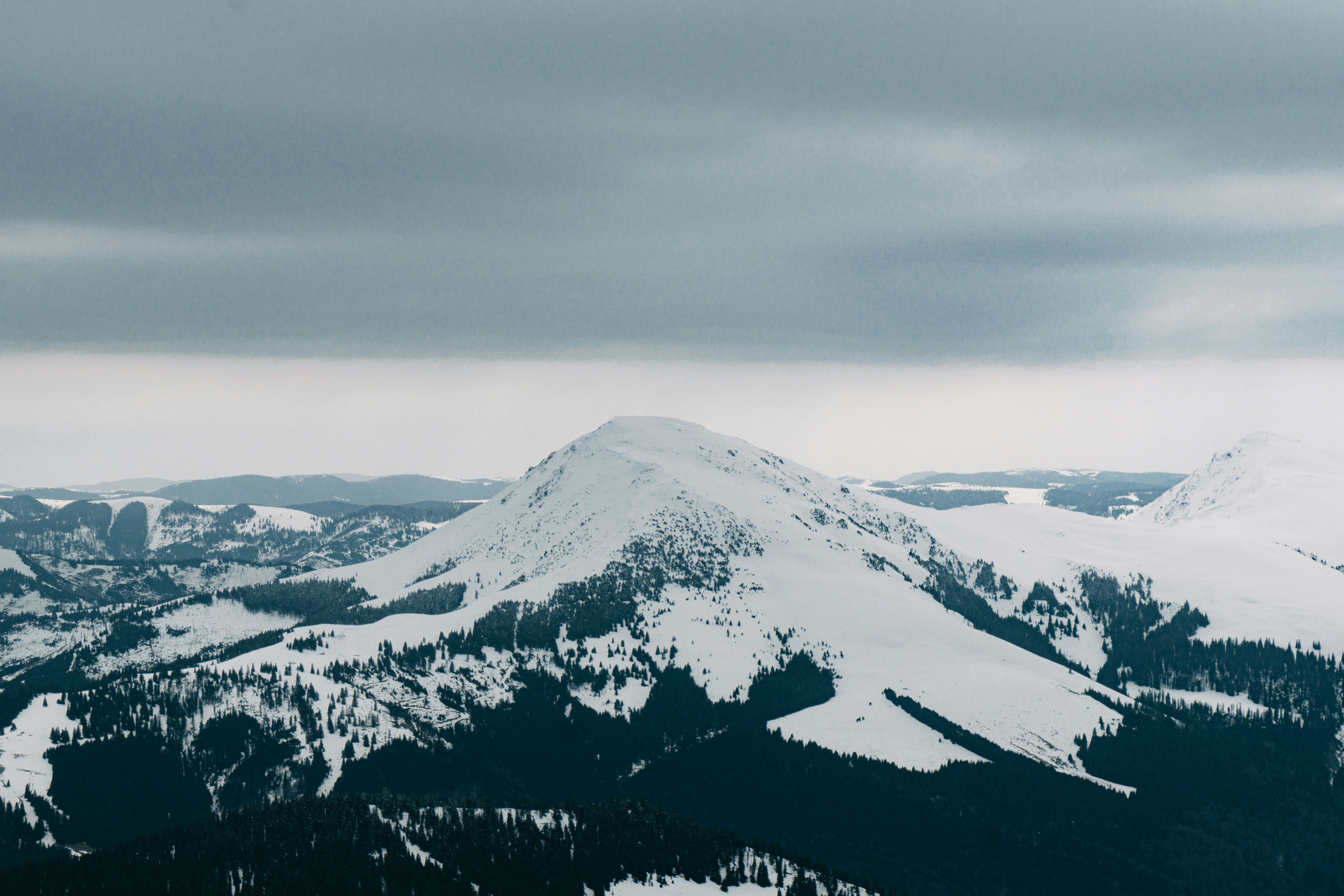 Photo by deni_eliash