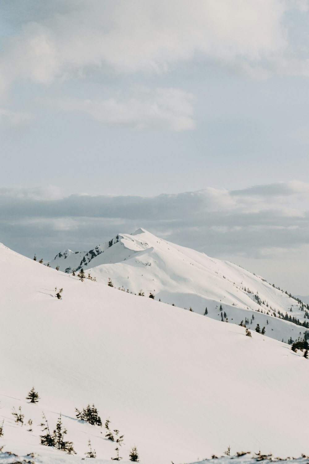 people walking on snow covered mountain during daytime