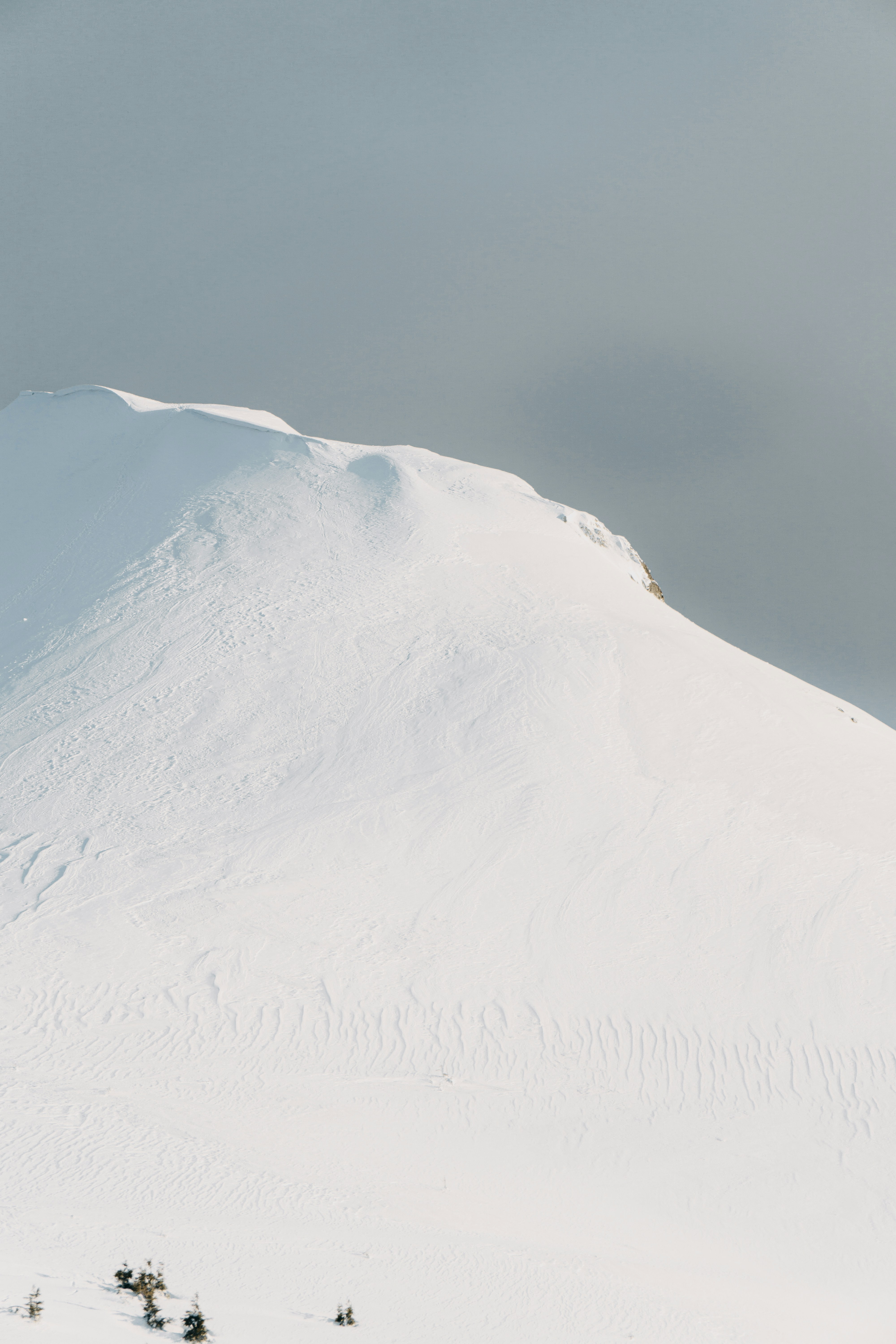 Photo by deni_eliash