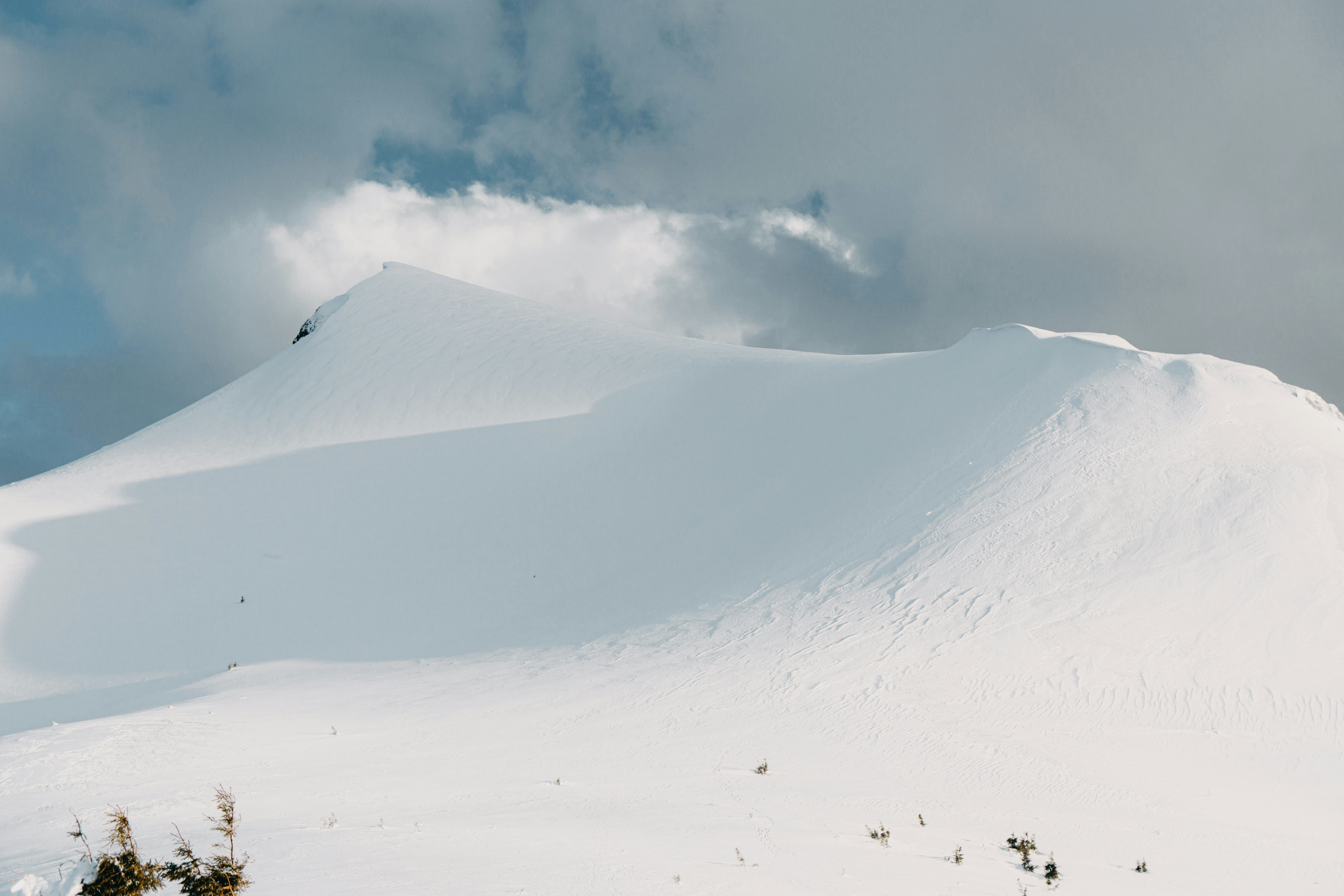 Photo by deni_eliash