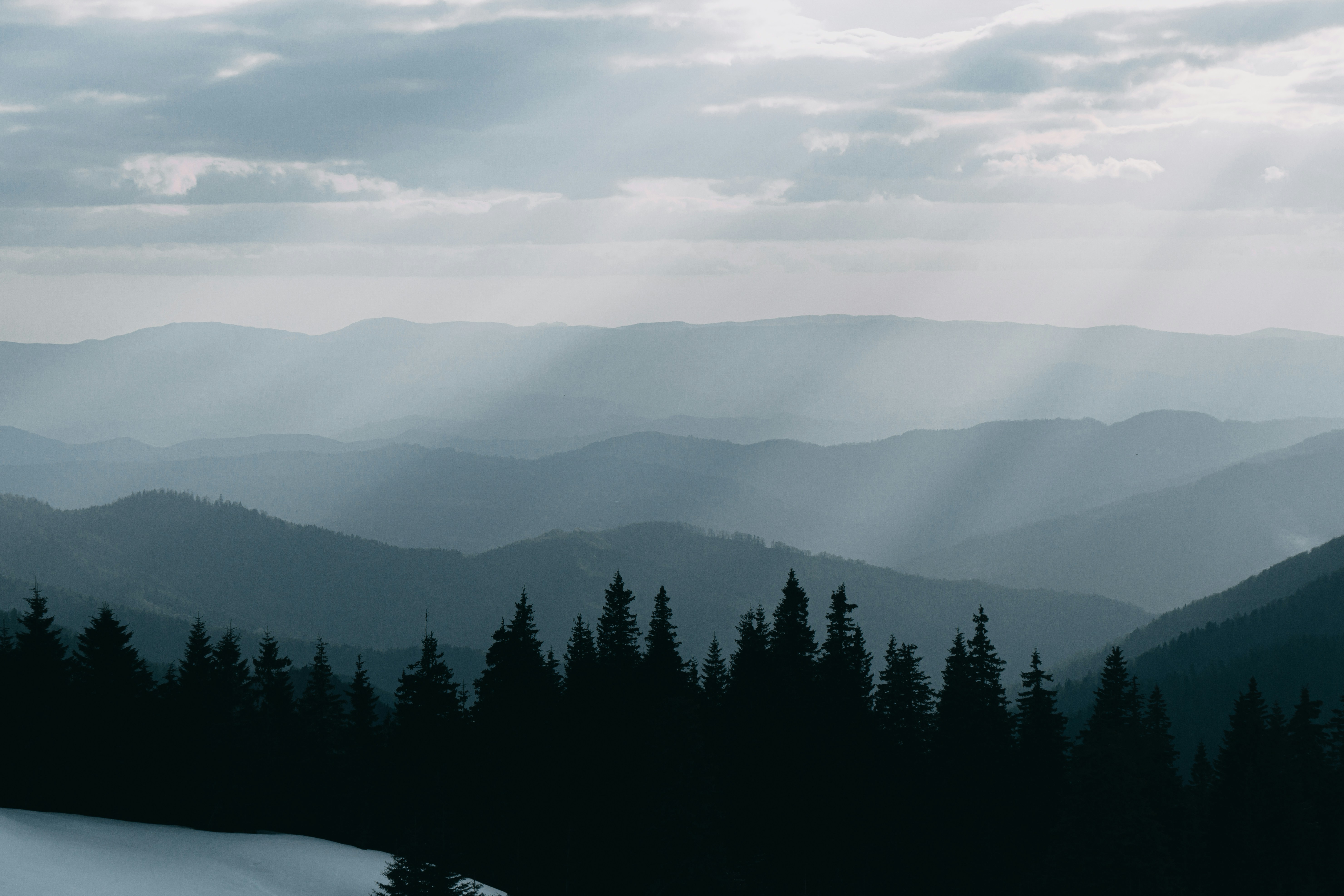 Photo by deni_eliash