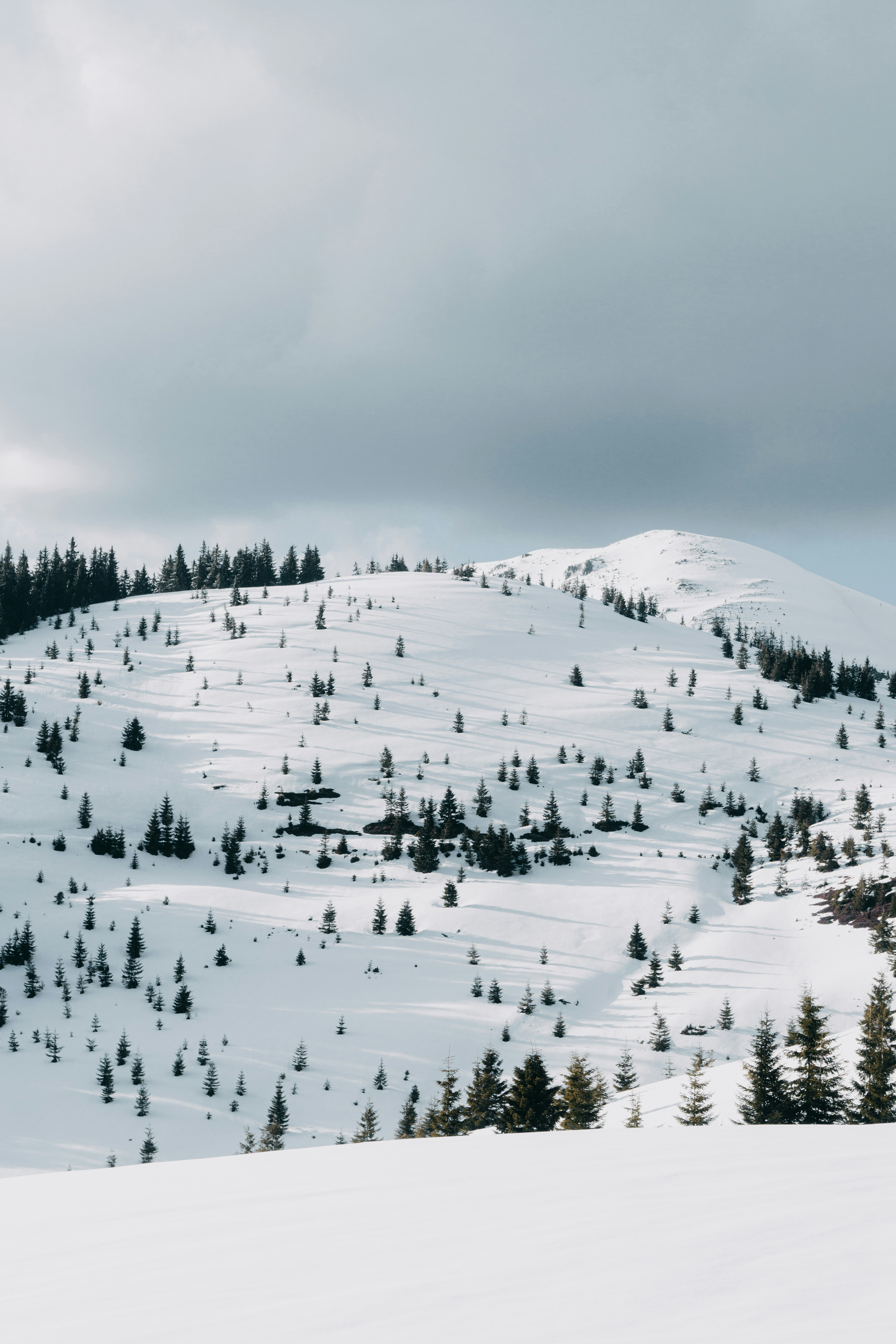 Photo by deni_eliash