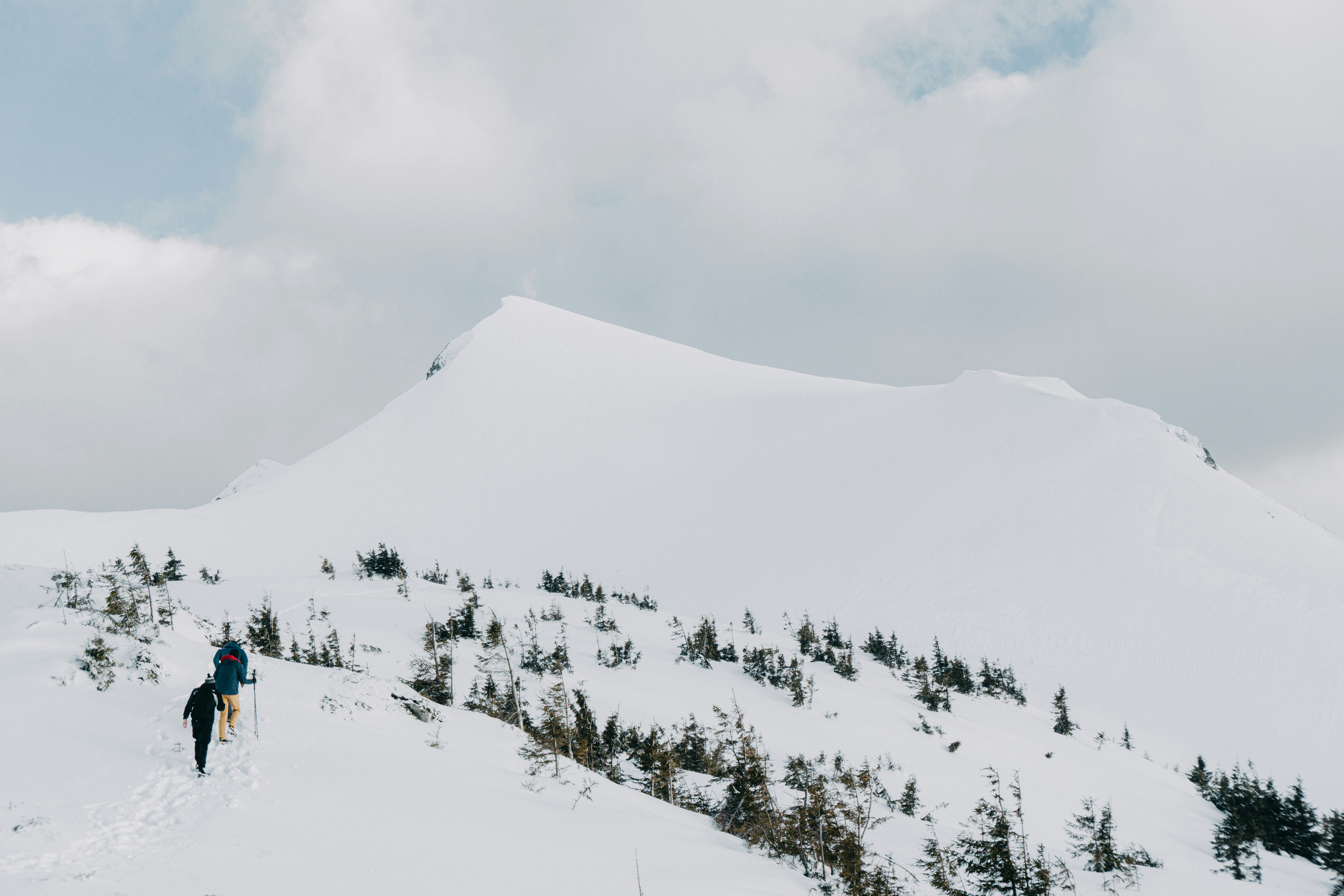 Photo by deni_eliash