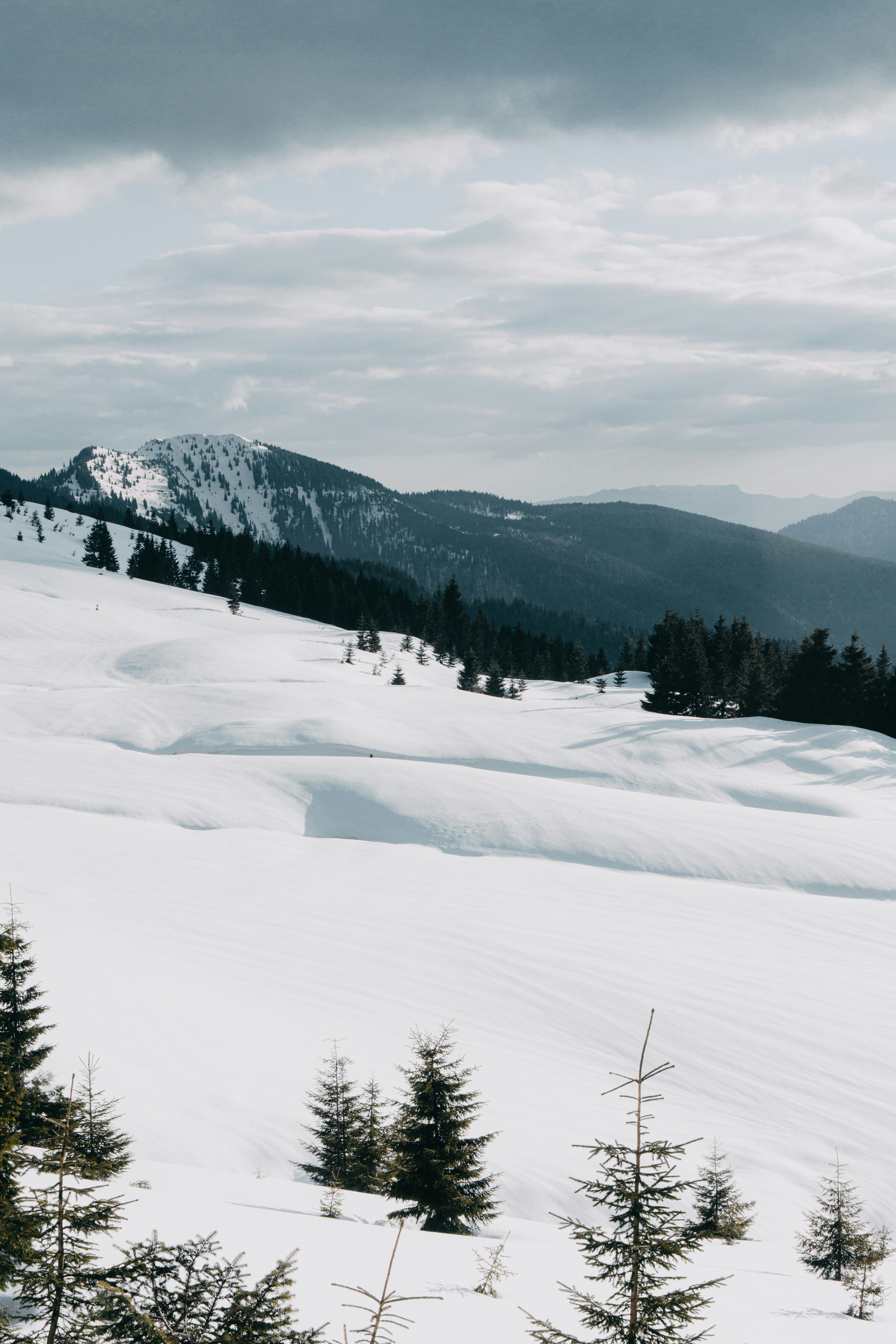 Photo by deni_eliash