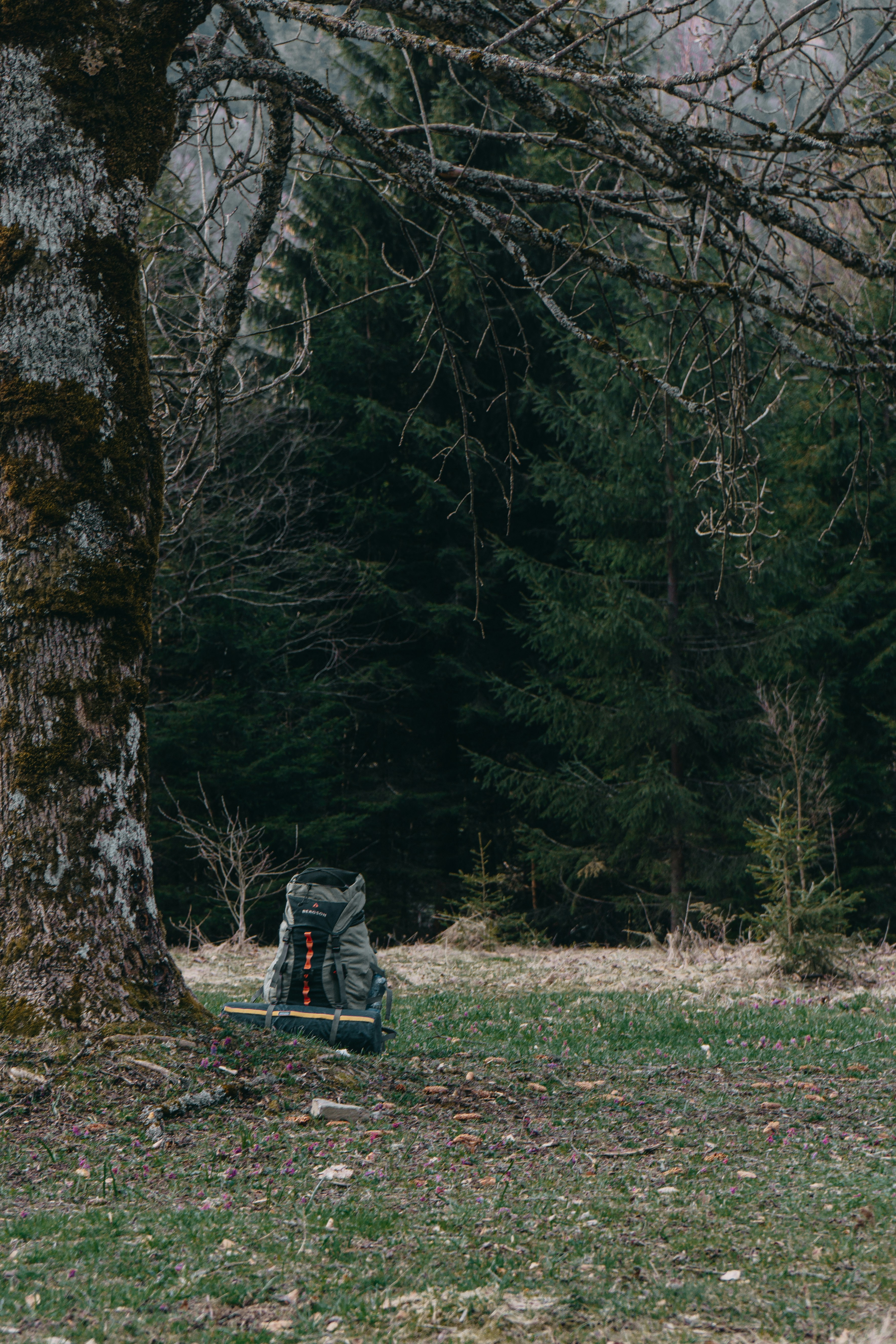 Photo by deni_eliash