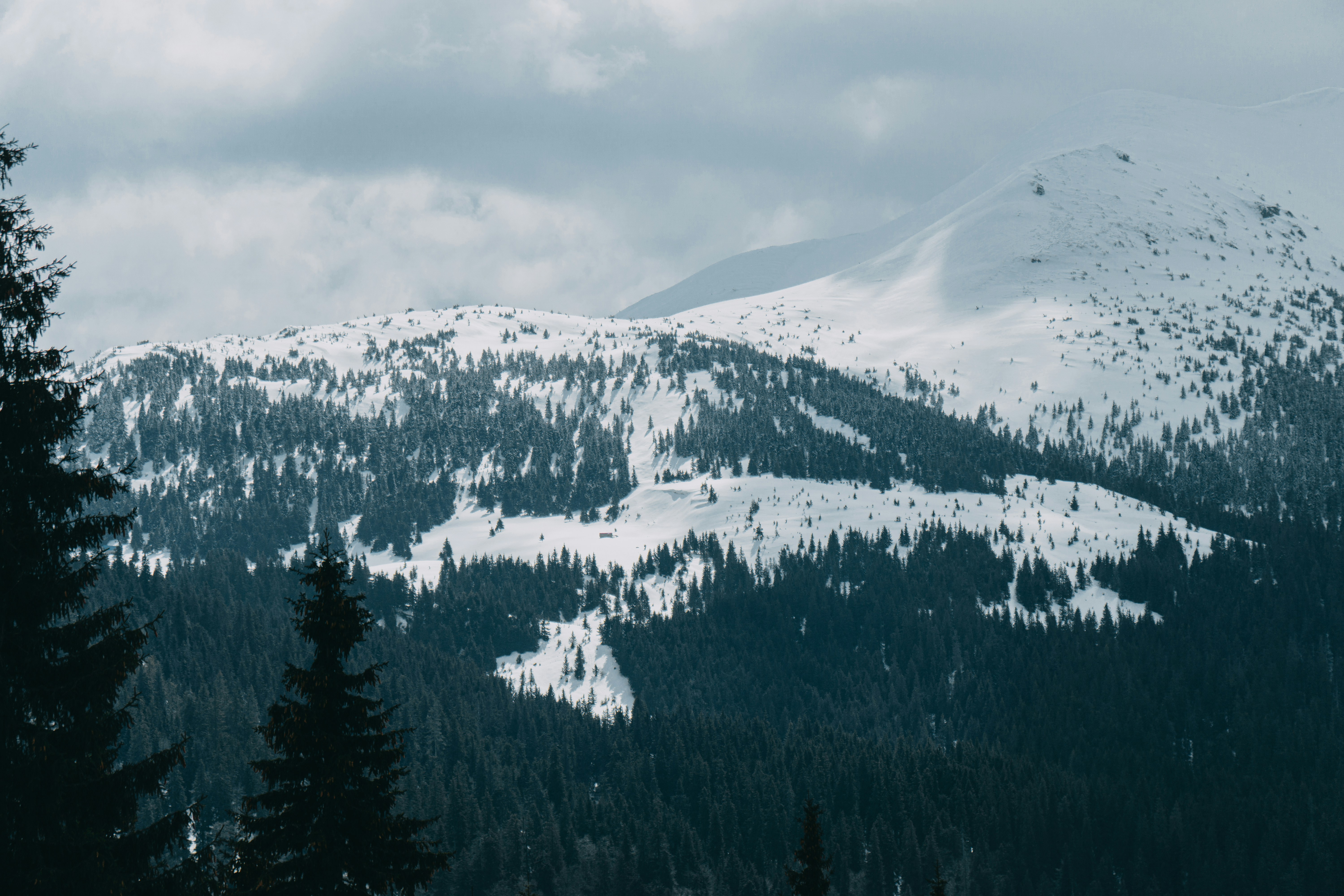 Photo by deni_eliash