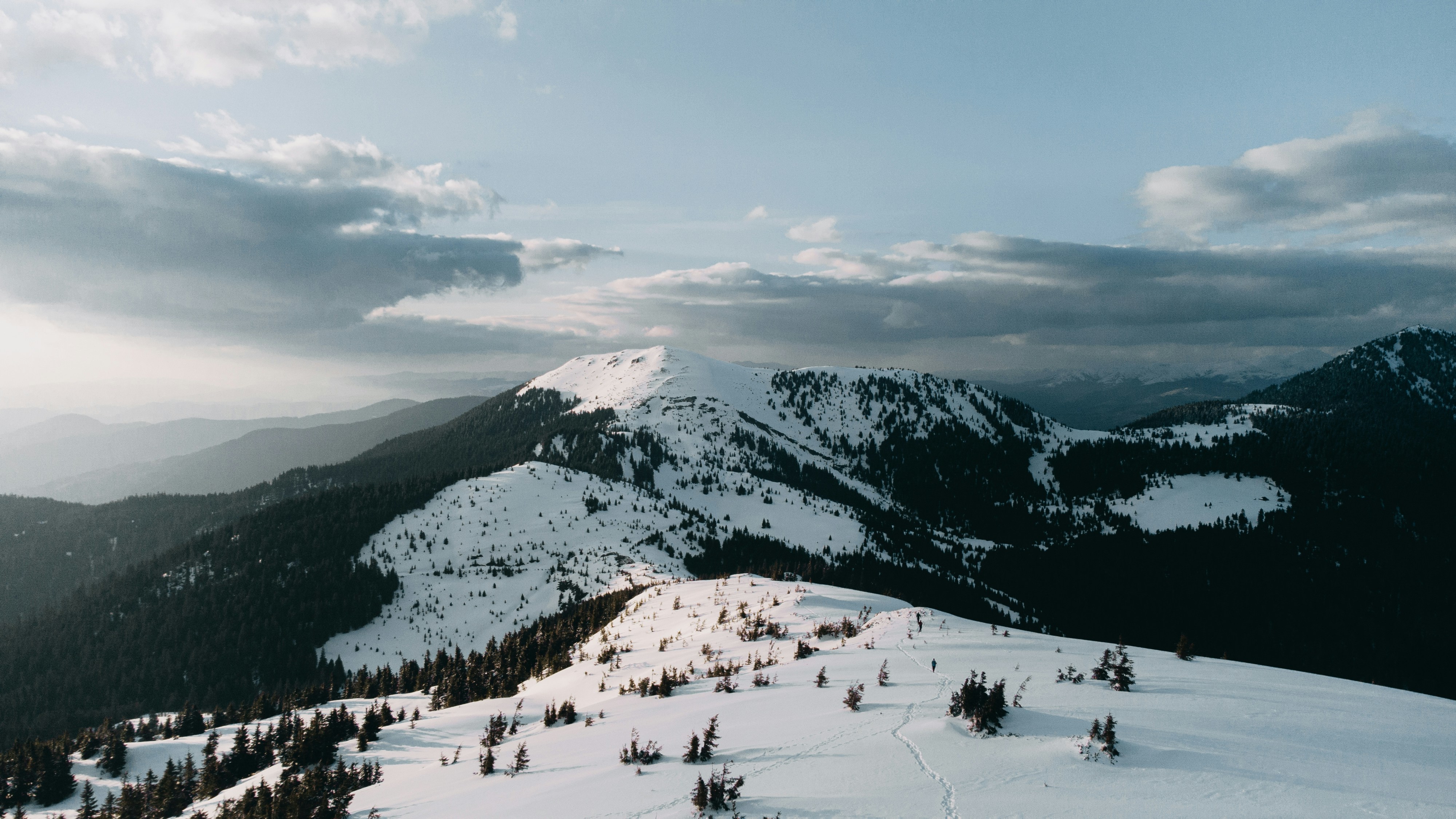 Photo by deni_eliash