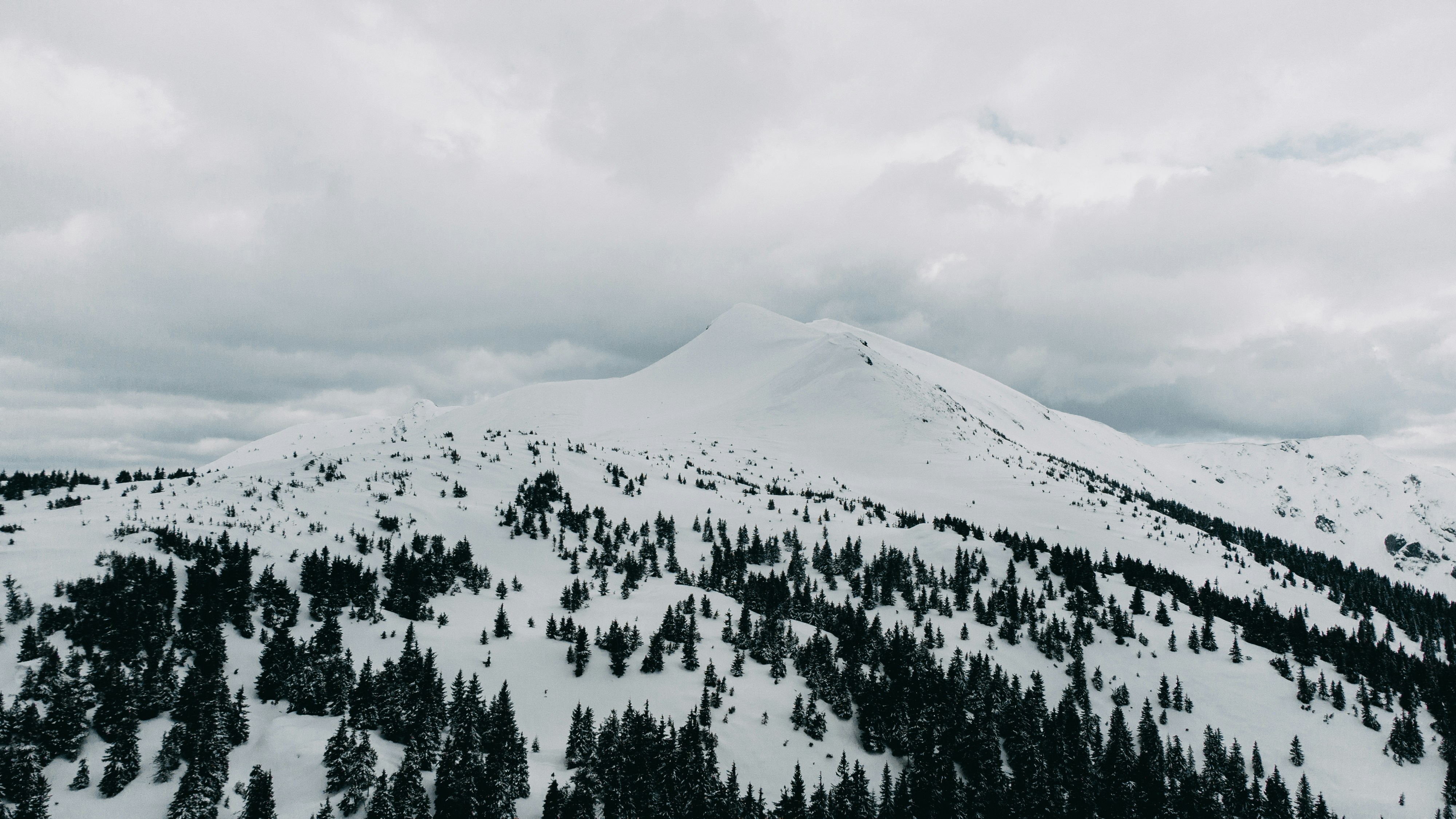 Photo by deni_eliash