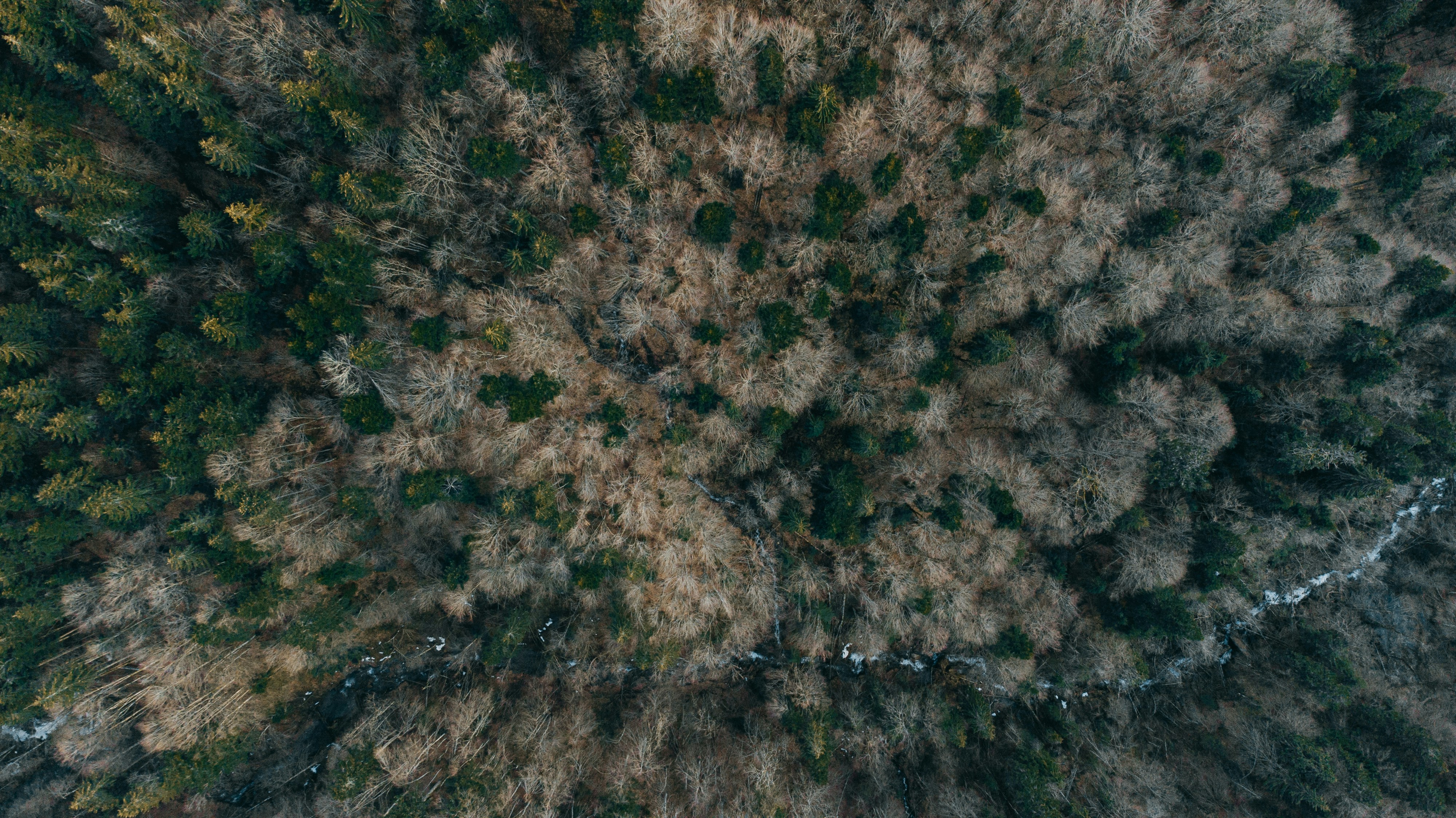 Photo by deni_eliash