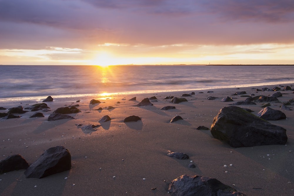 gray rocks on seashore during sunset