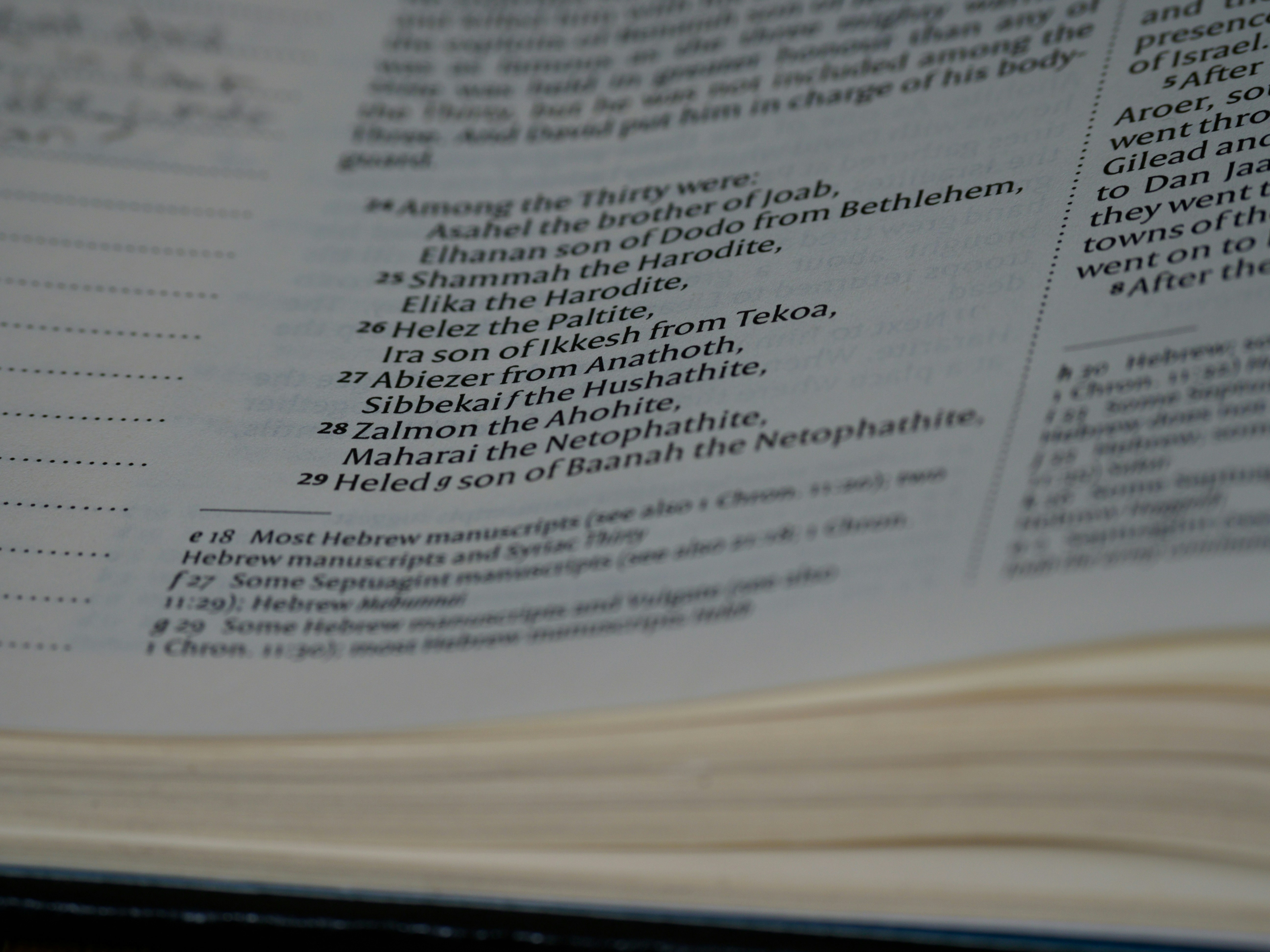 Photo by brett_jordan