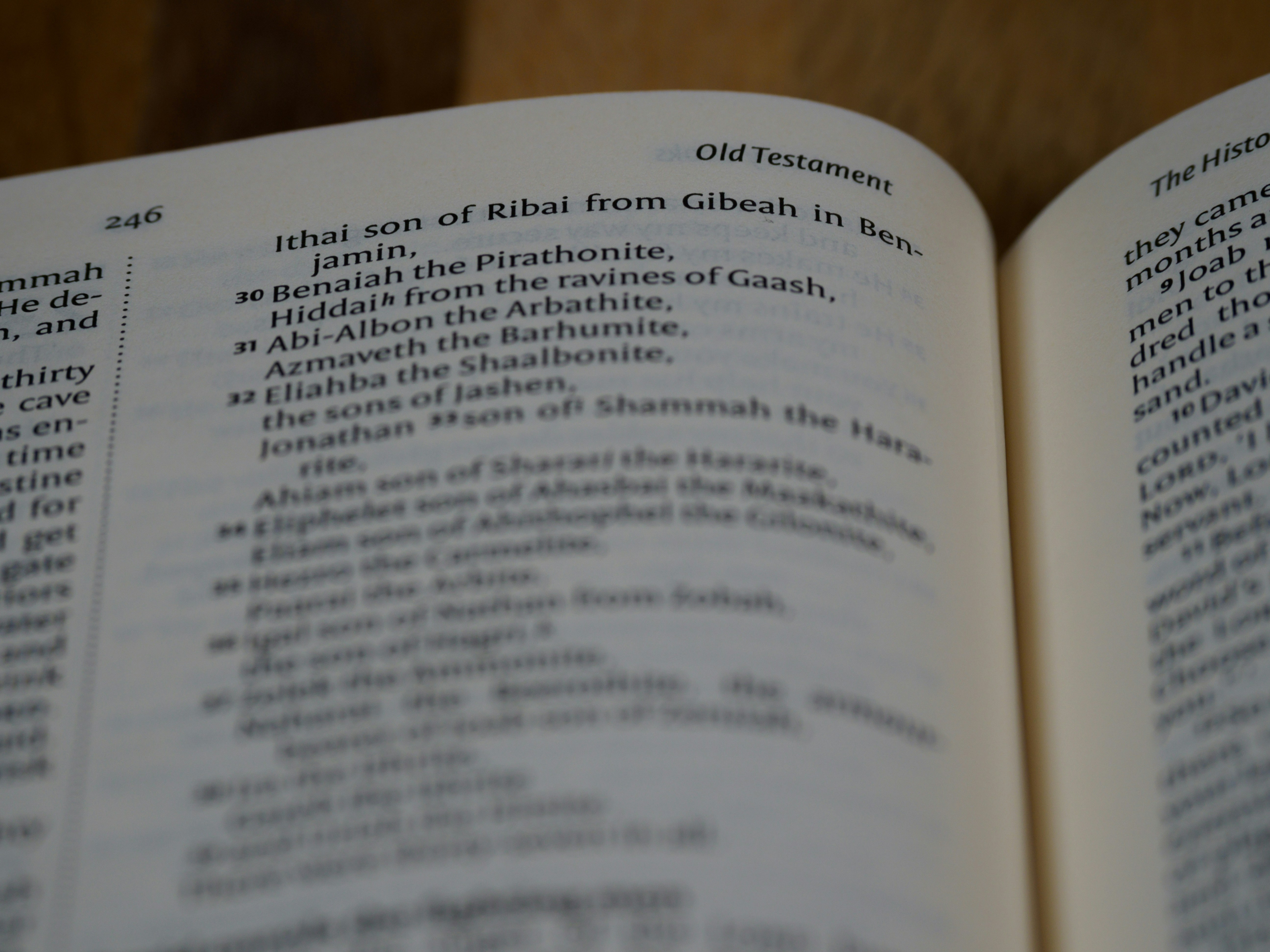 Hidden Gems for Translation in Dublin