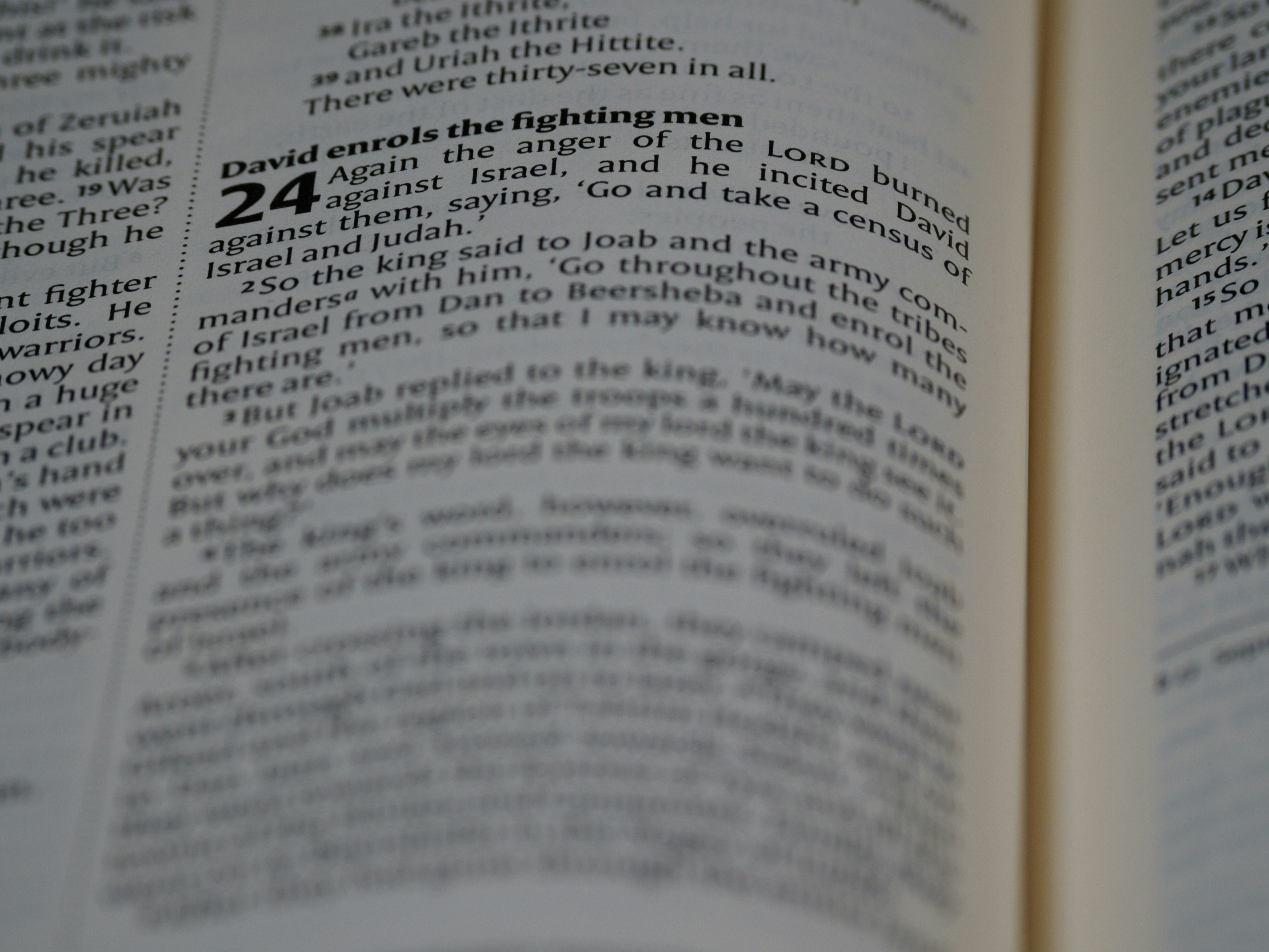 Photo by brett_jordan