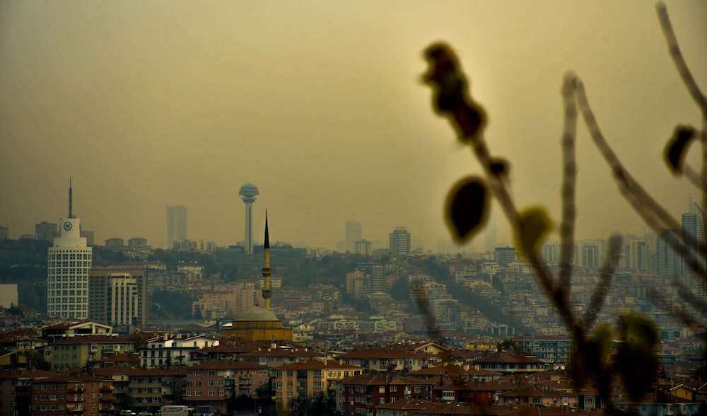 Horizonte de la ciudad durante la noche