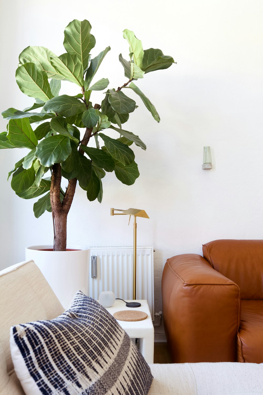 green plant near orange sofa