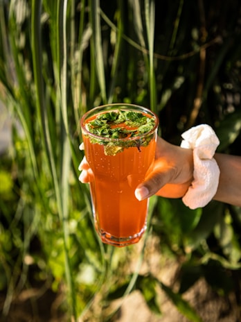 A hand holds a glass filled with a bright orange beverage, garnished with fresh mint leaves. The background features tall, green grass-like plants that are out-of-focus. The hand holding the glass has a white scrunchie around the wrist.