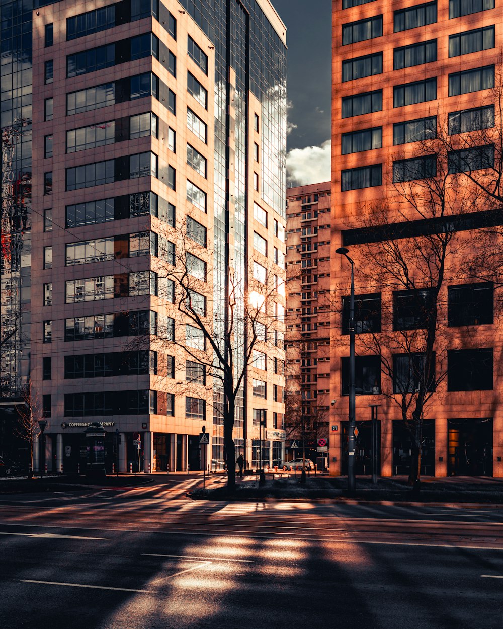 brown bare trees near brown concrete building during daytime