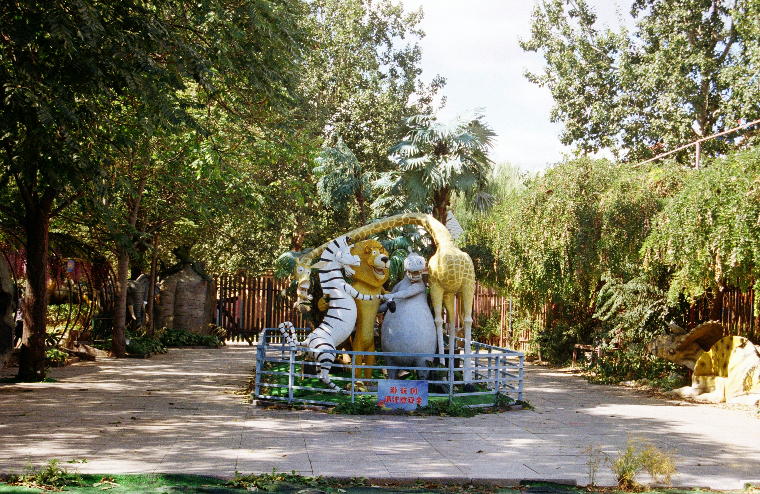 Photo by zhayoutiao_