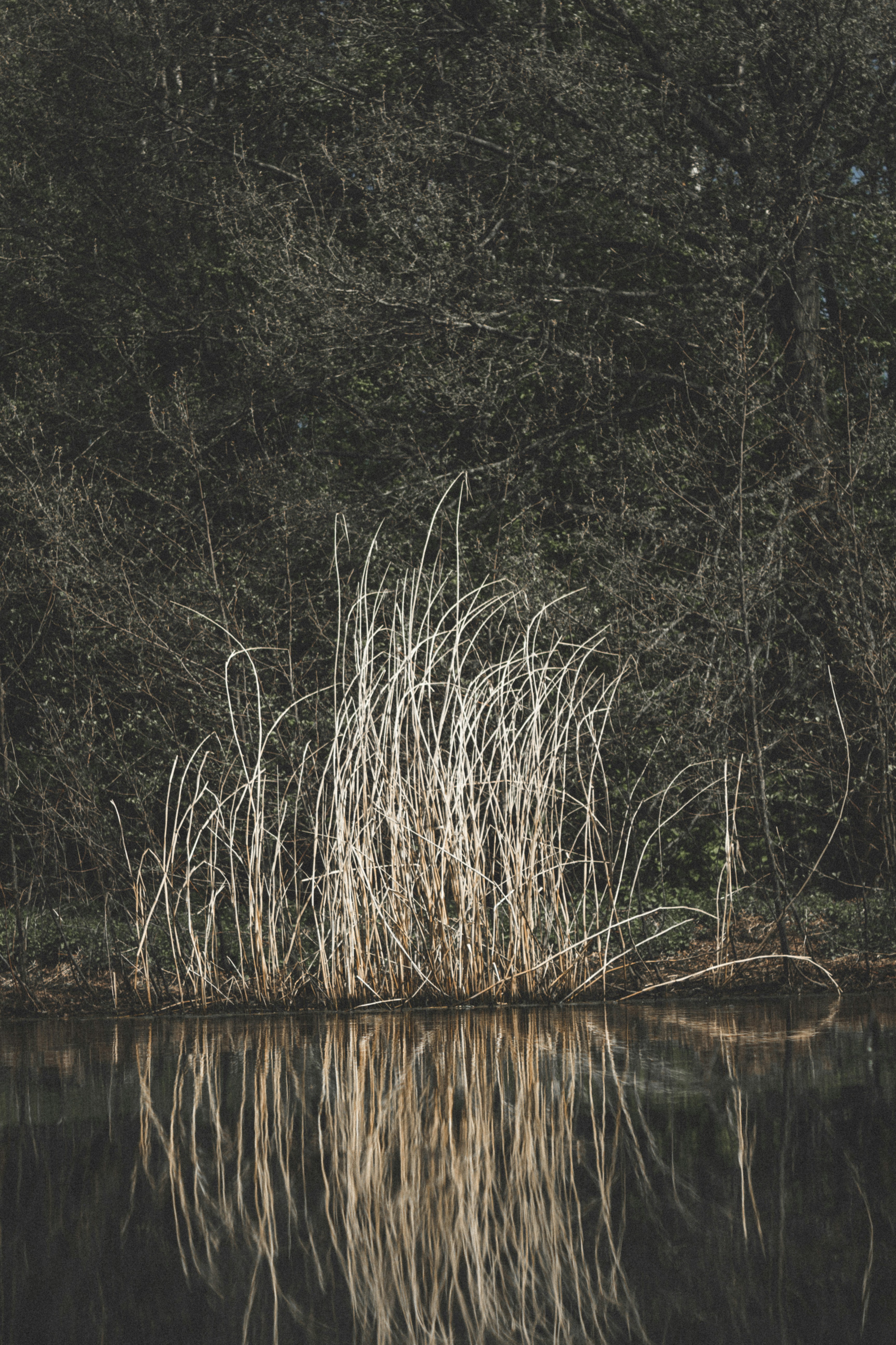 Photo by remco_marien