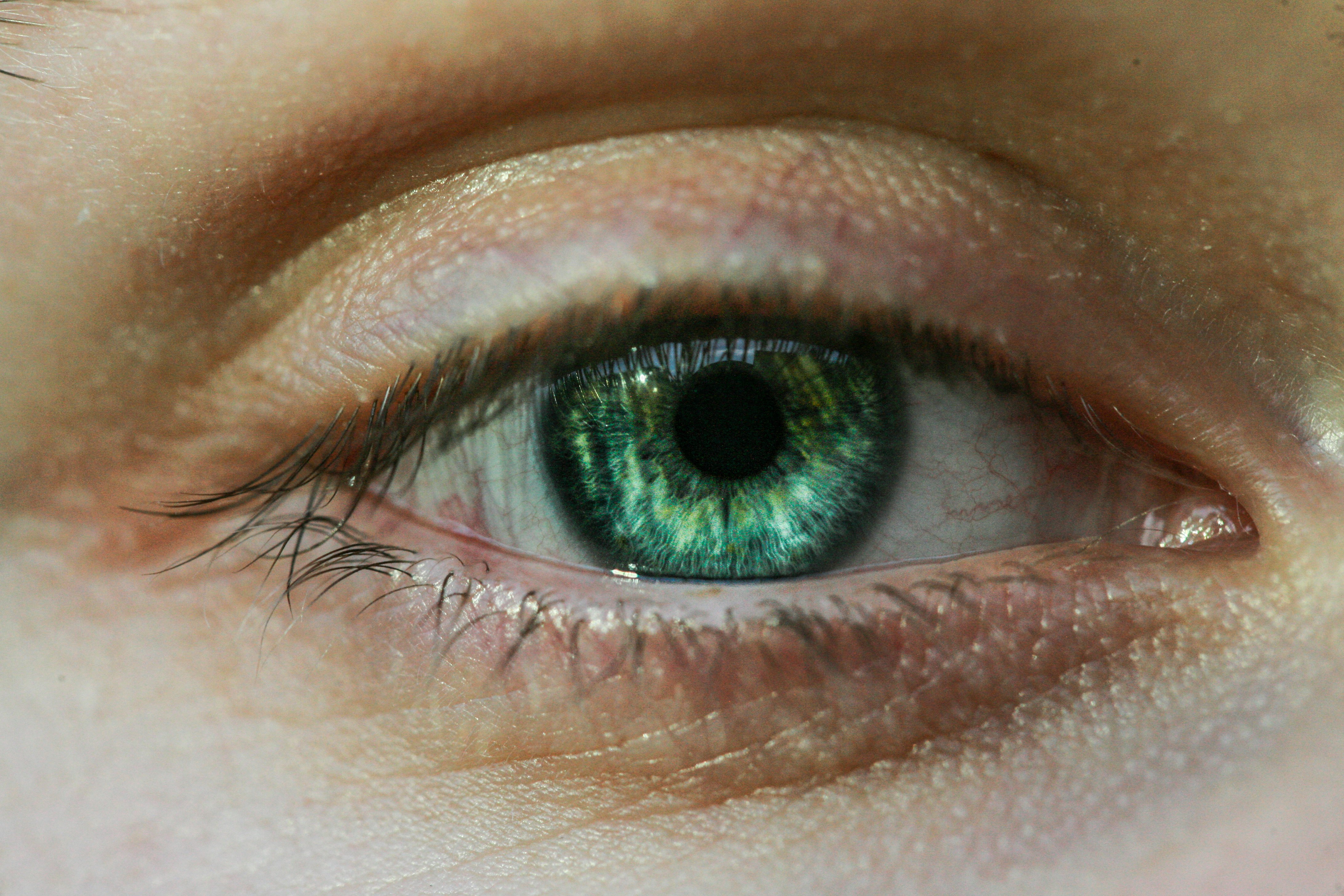 persons green eye in close up photography