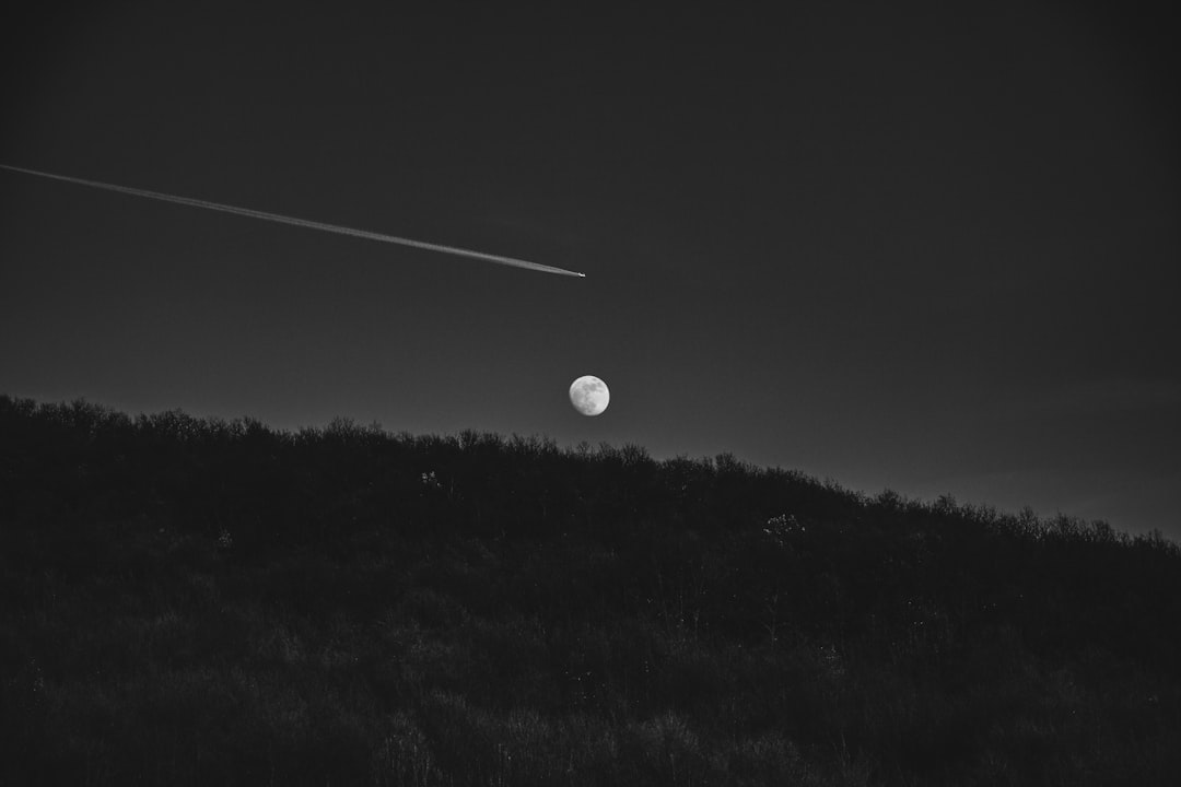 grayscale photo of grass field with moon