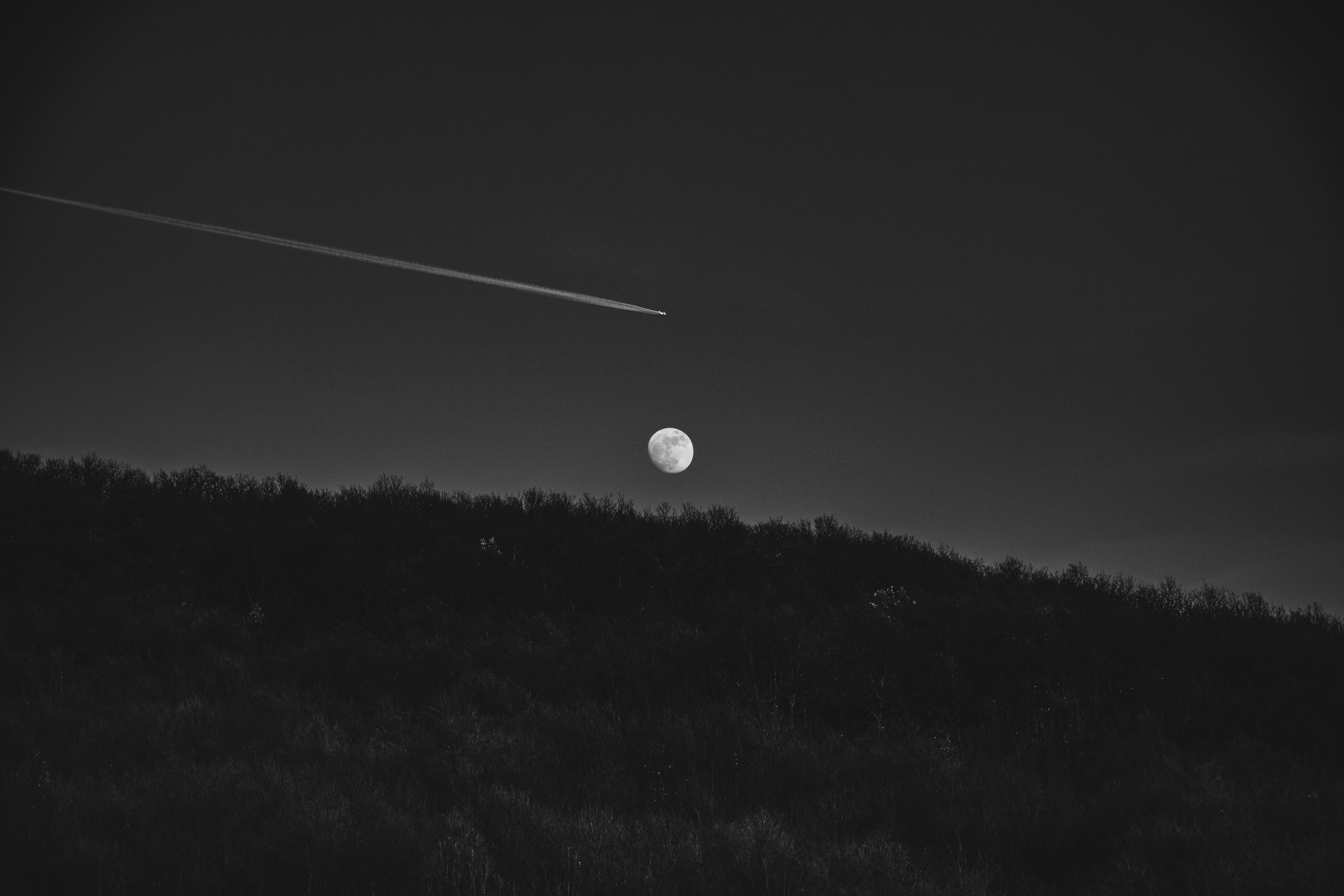 grayscale photo of grass field with moon