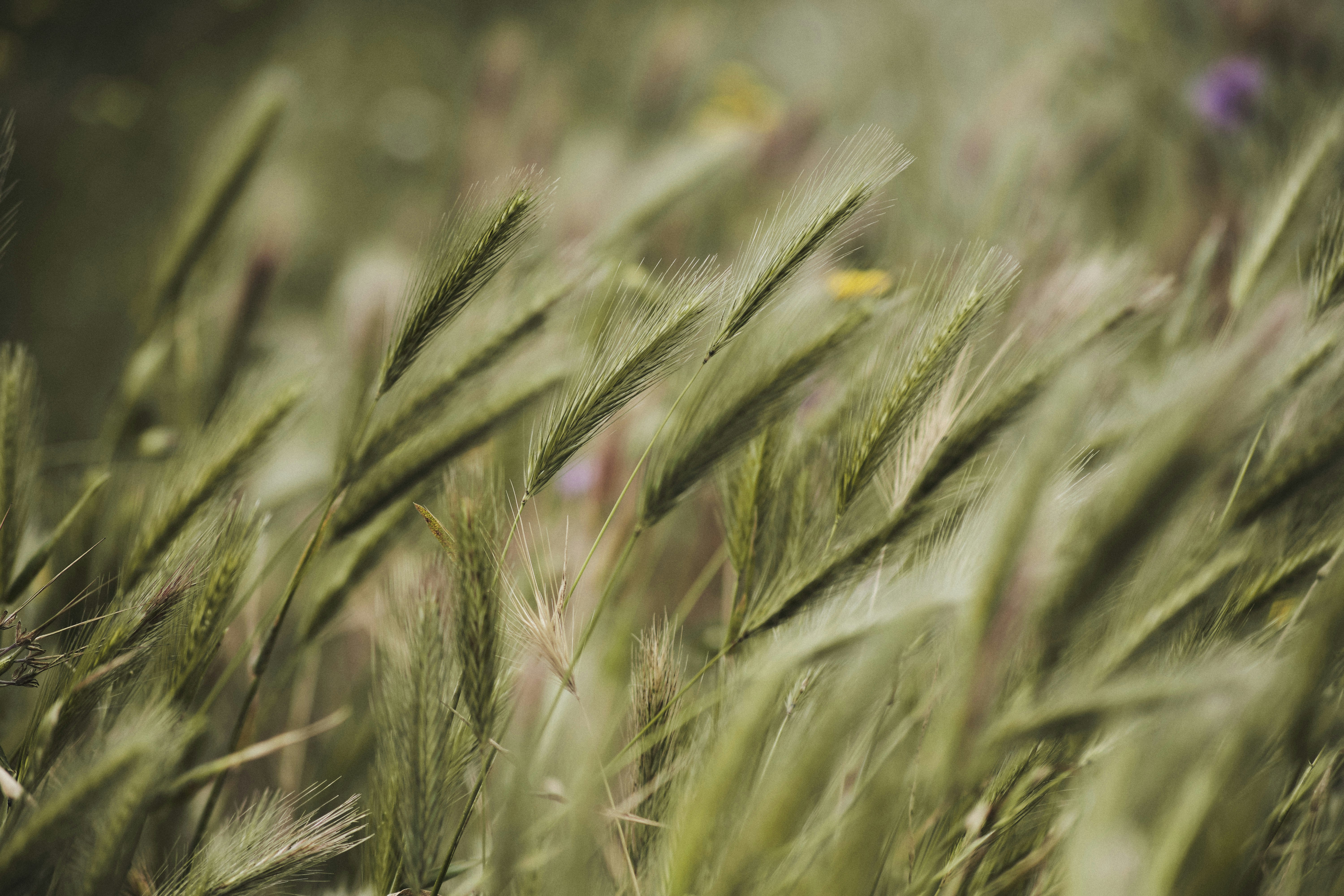 Photo by victor_vector