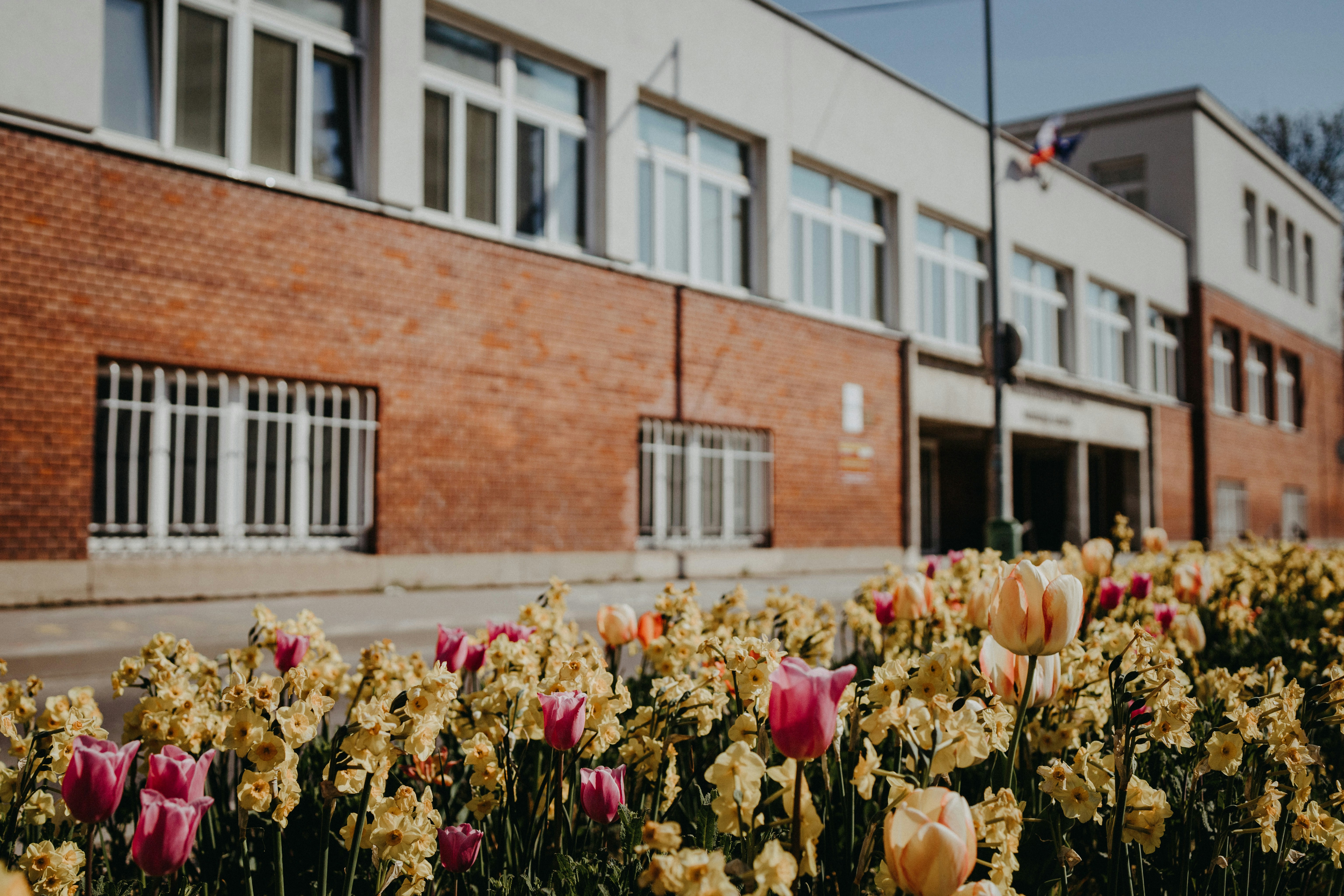 The building of the Faculty of Law of the Trnava University in Trnava.