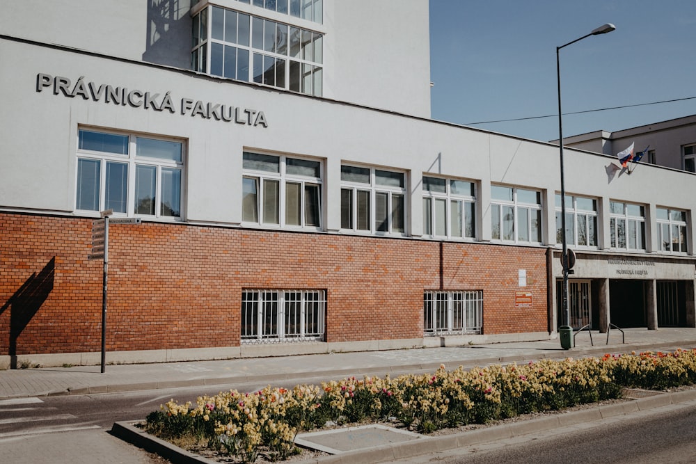 brown and white concrete building during daytime