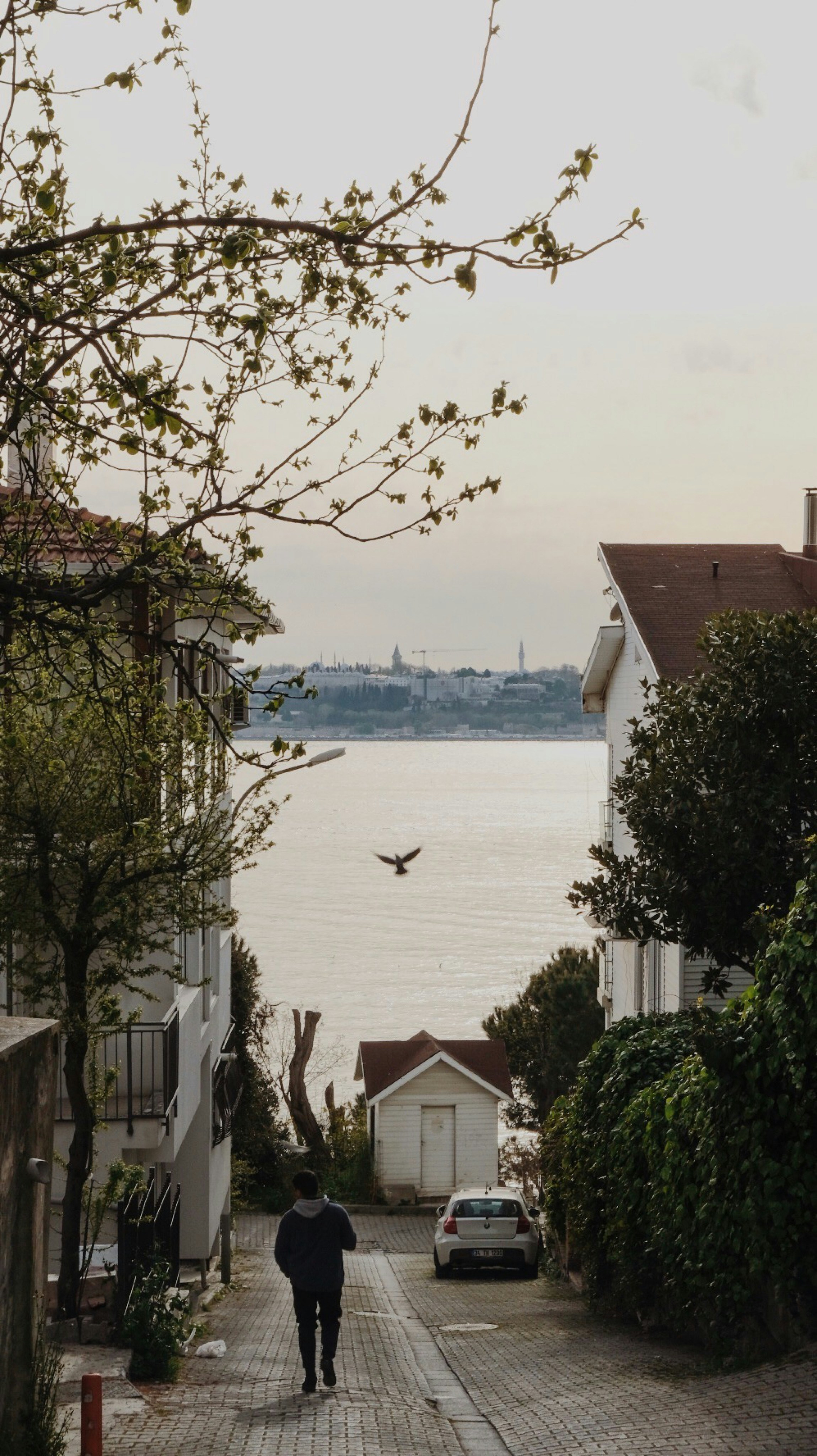Photo by mustph