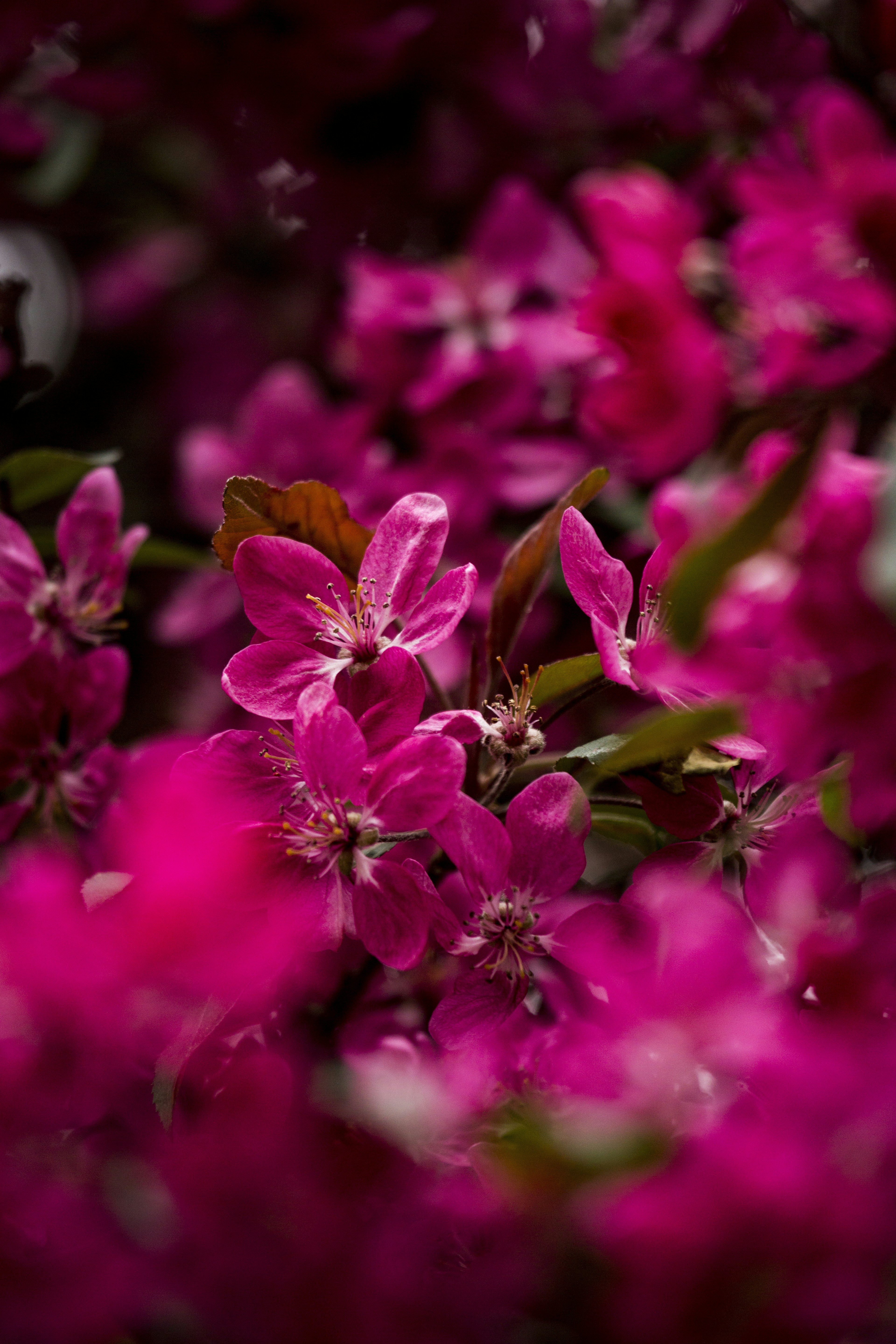 Photo by ditakesphotos